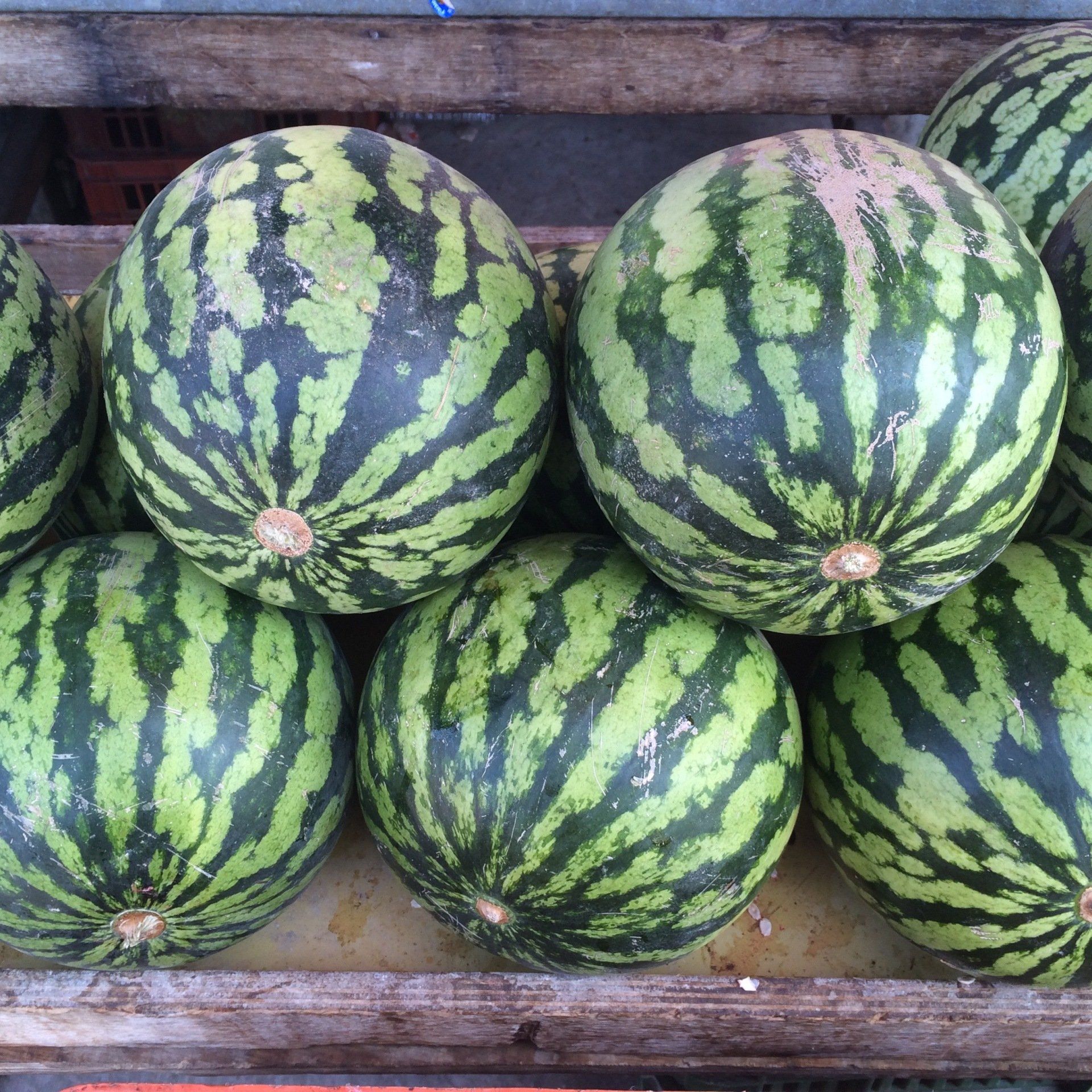 Shuk HaCarmel Tel-Aviv