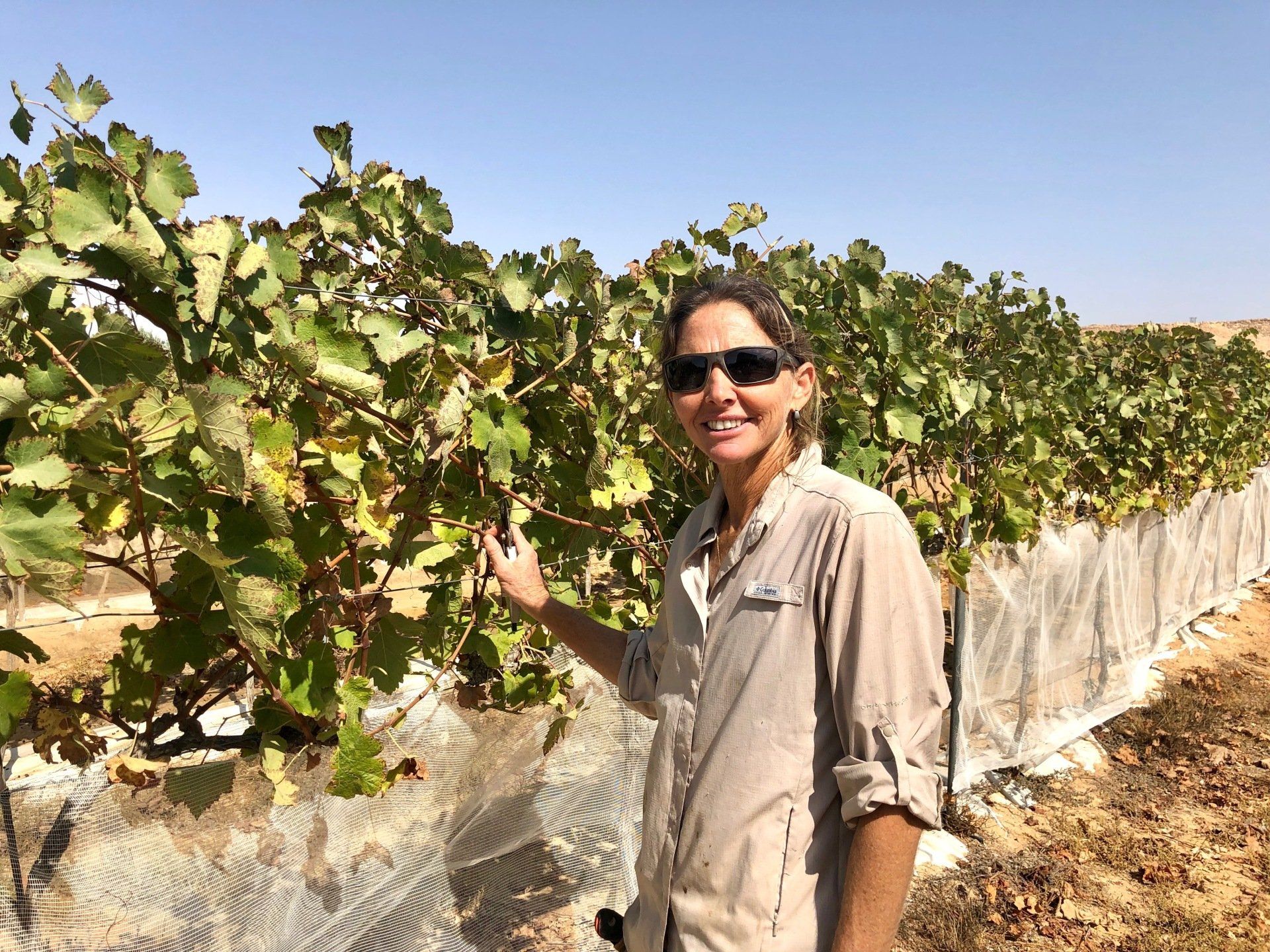 Simha Marom productrice huile olive  et vin Néguev Israël
