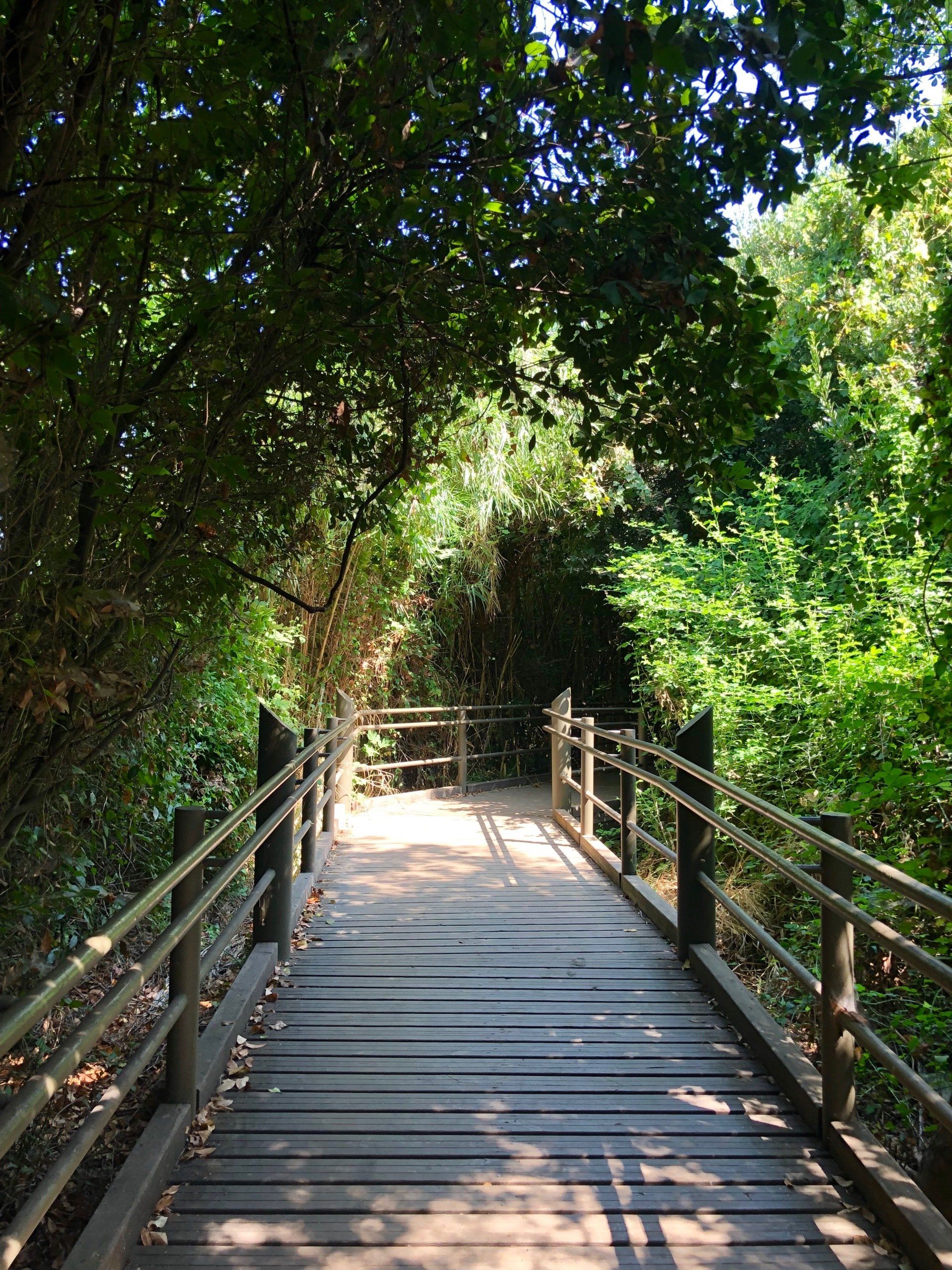 Réserve naturelle Tel Dan Israël