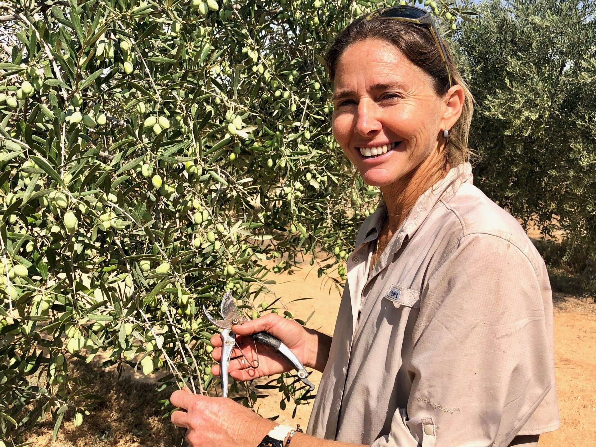 Simha Marom productrice huile d'olive et vin Mitzpe Ramon Néguev Israël