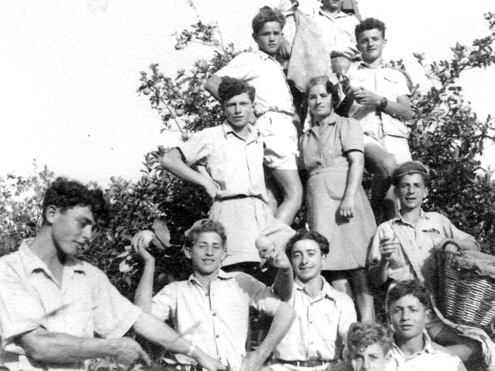 Jeunes juifs pionniers travaillant dans les champs d'un kibboutz en Palestine années 40