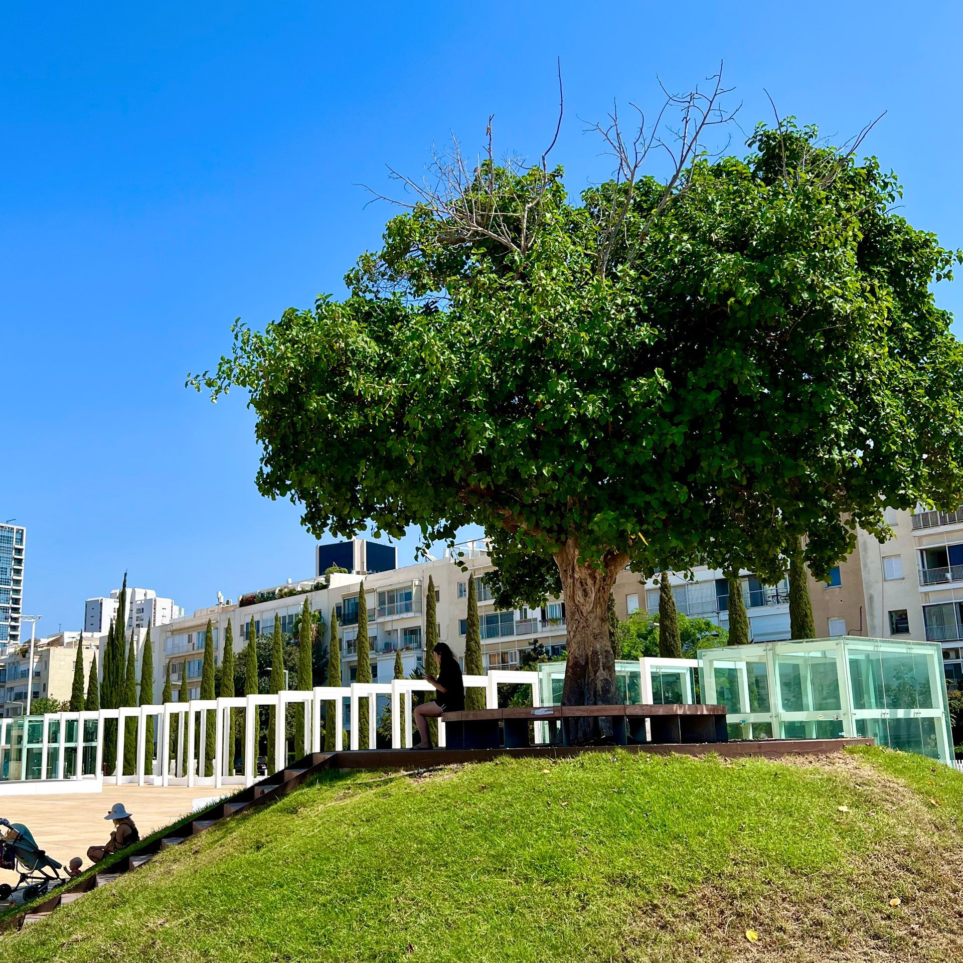 Sycomore Place Habima à Tel-Aviv. Symbole de résilience, protection, permanence.