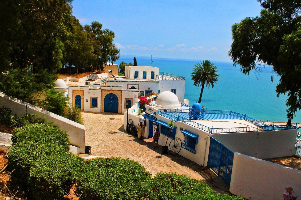 Vue de Tunis