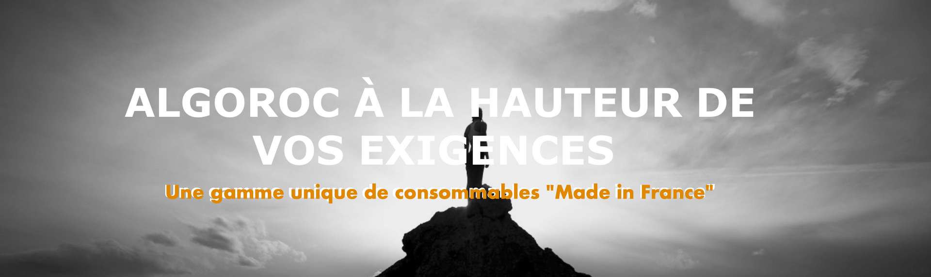 logo boutique algoroc