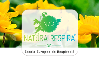 consultoría marketing