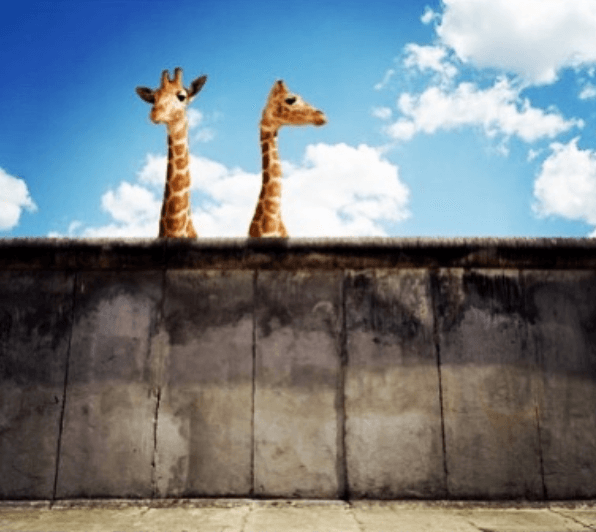 Marketing en la calle