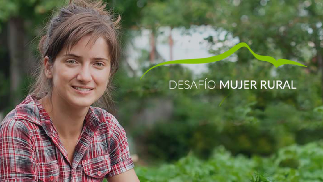 Formación Marketing