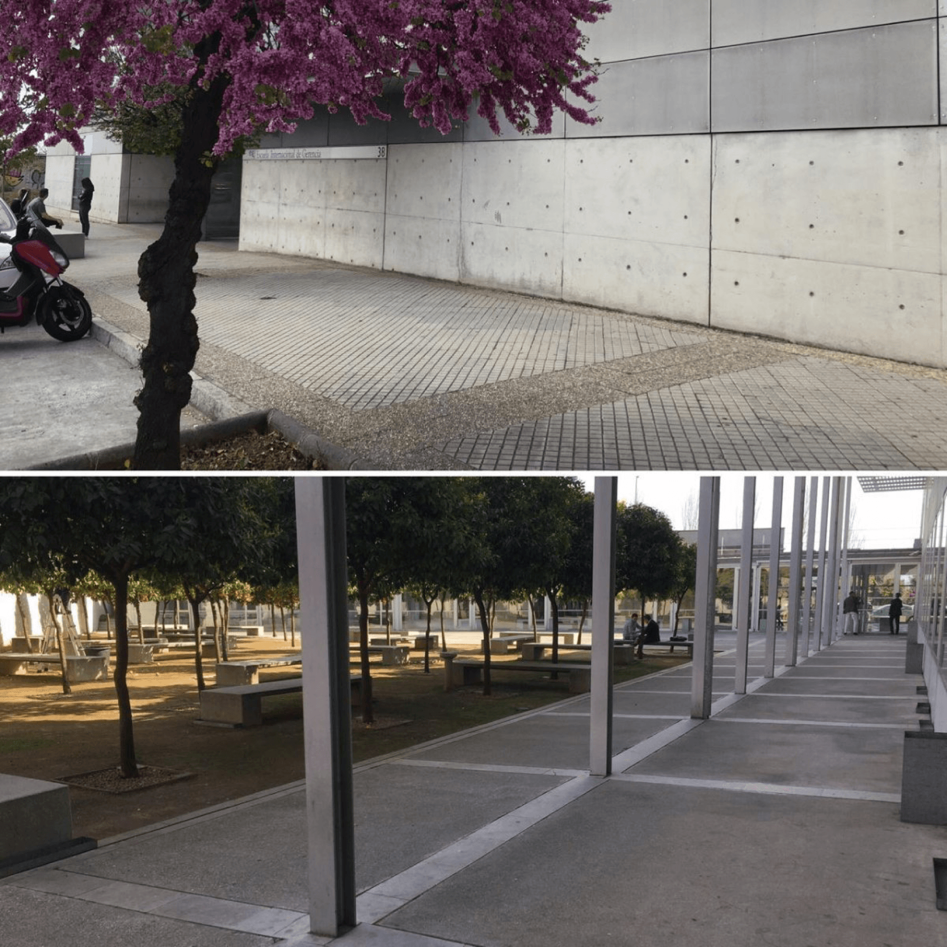 Formación Marketing