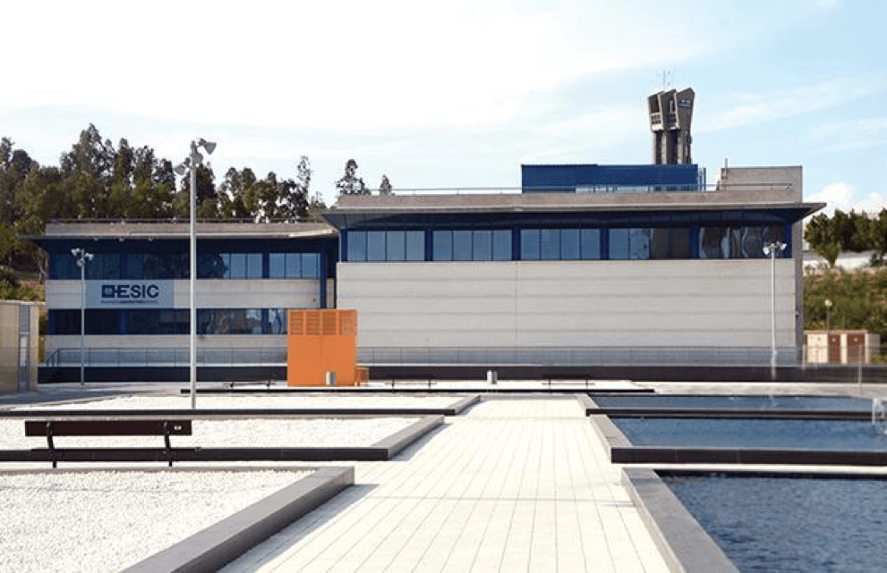 Formación marketing