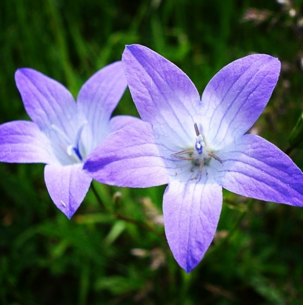 Marketing en la calle