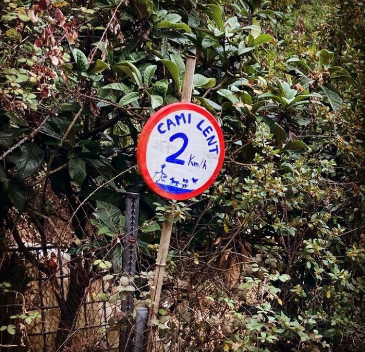 Marketing en la calle