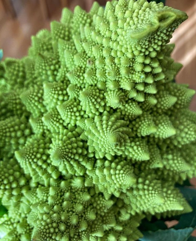 Marketing en la calle