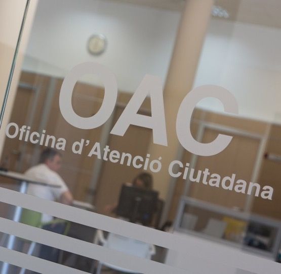 Formación