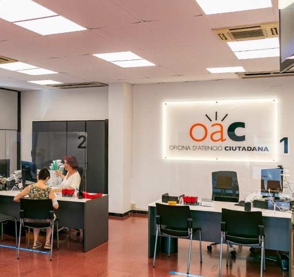 Formación