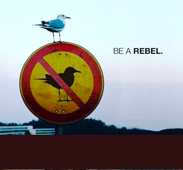 Marketing en la calle