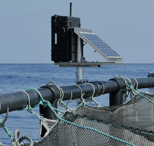 consultori marketing