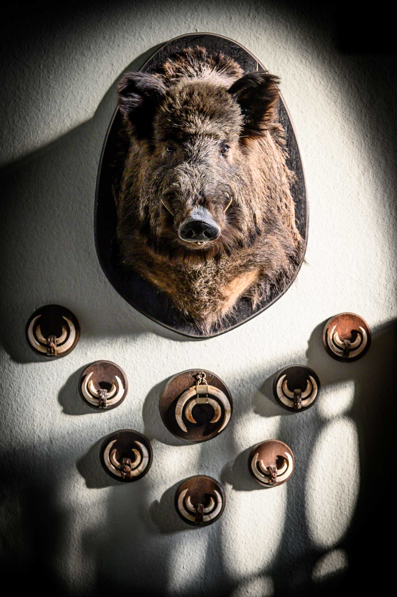 Reportage-Fotos von WINTERPOL für ein kulinarisches Buchprojekt Reportage-Fotos von WINTERPOL für ein kulinarisches Buchprojekt