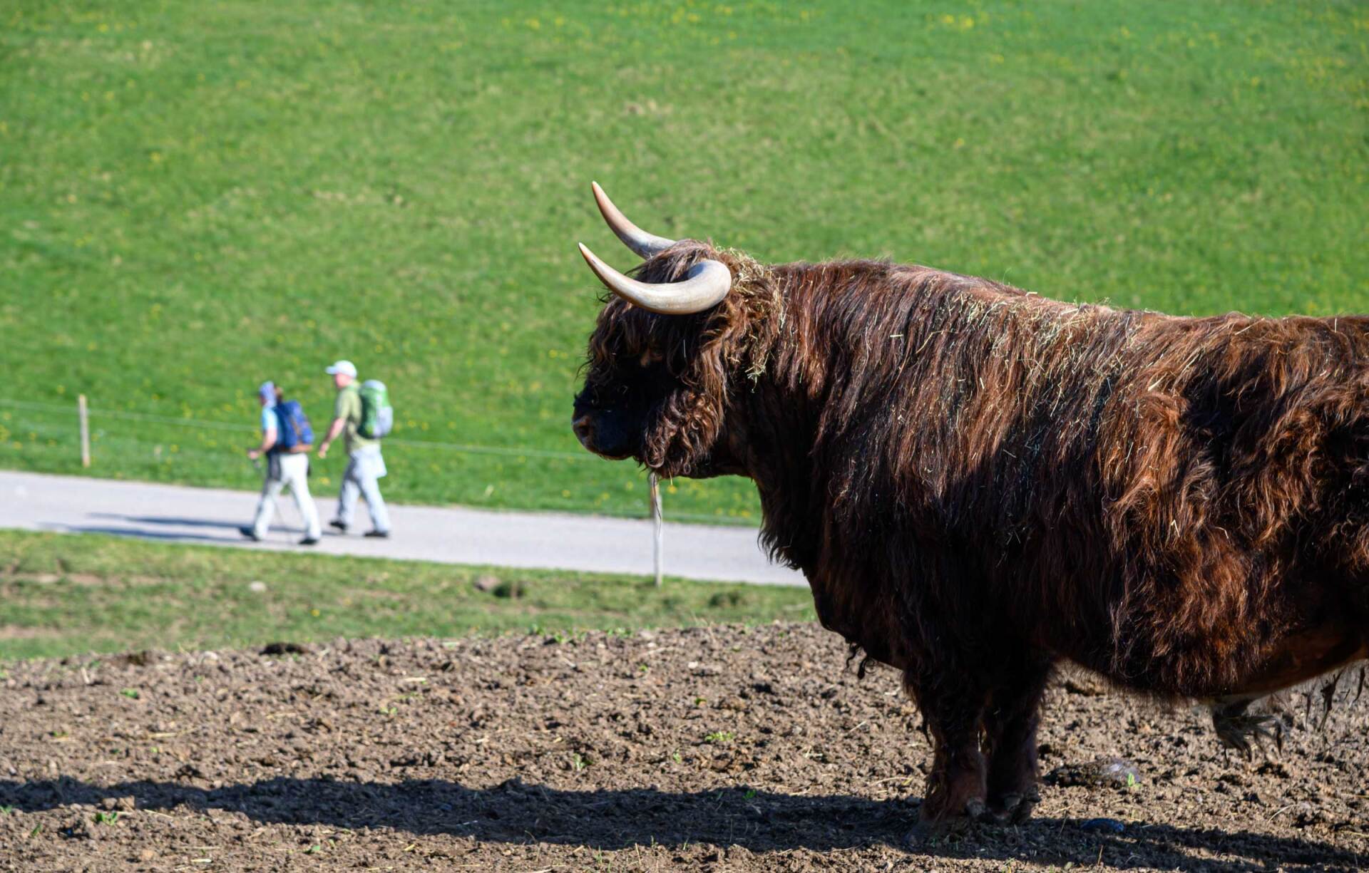 Reportage- und Reise-Fotografie von WINTERPOL Hamburg