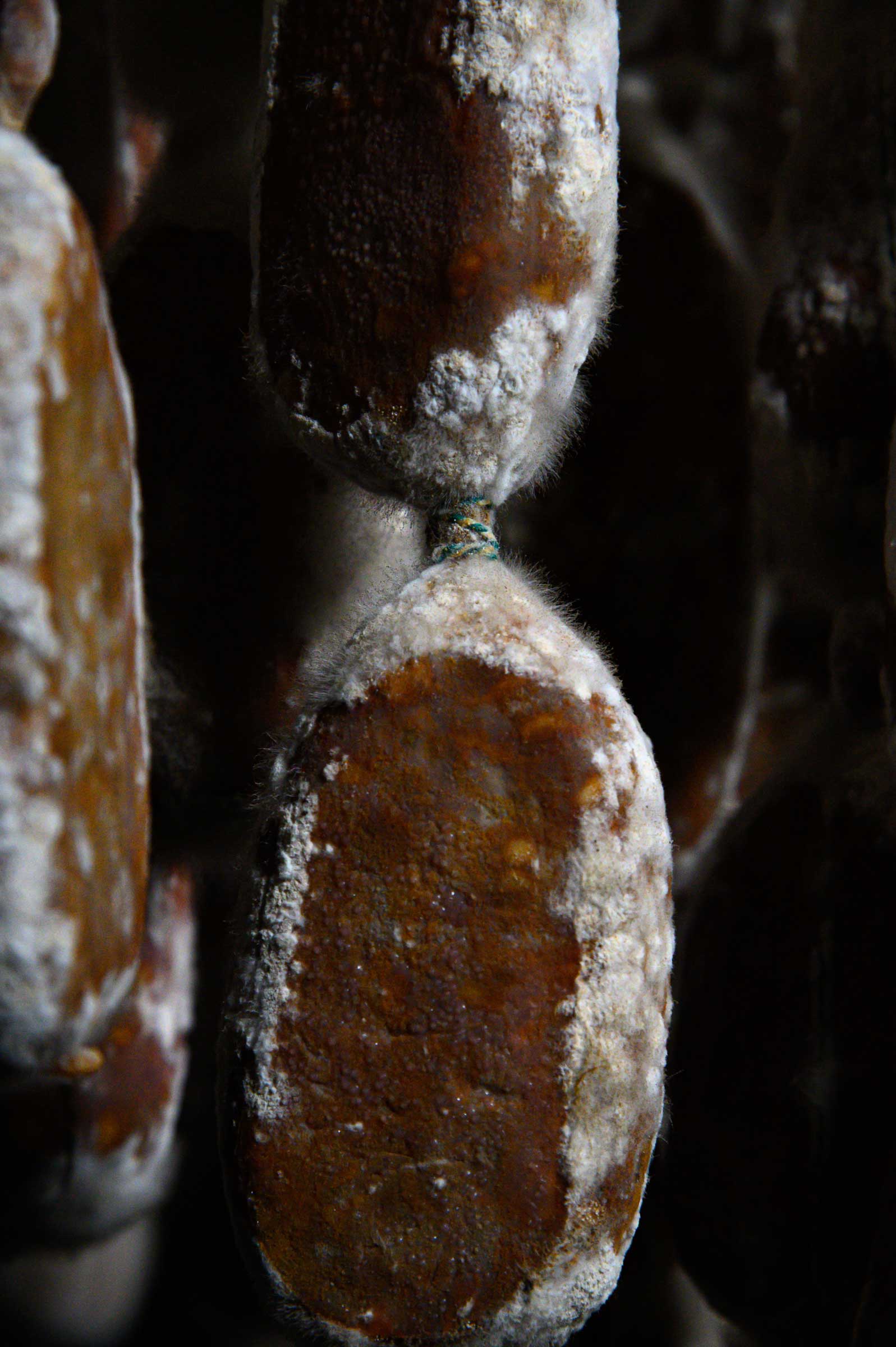 Reportage- und Reise-Fotografie von WINTERPOL Hamburg