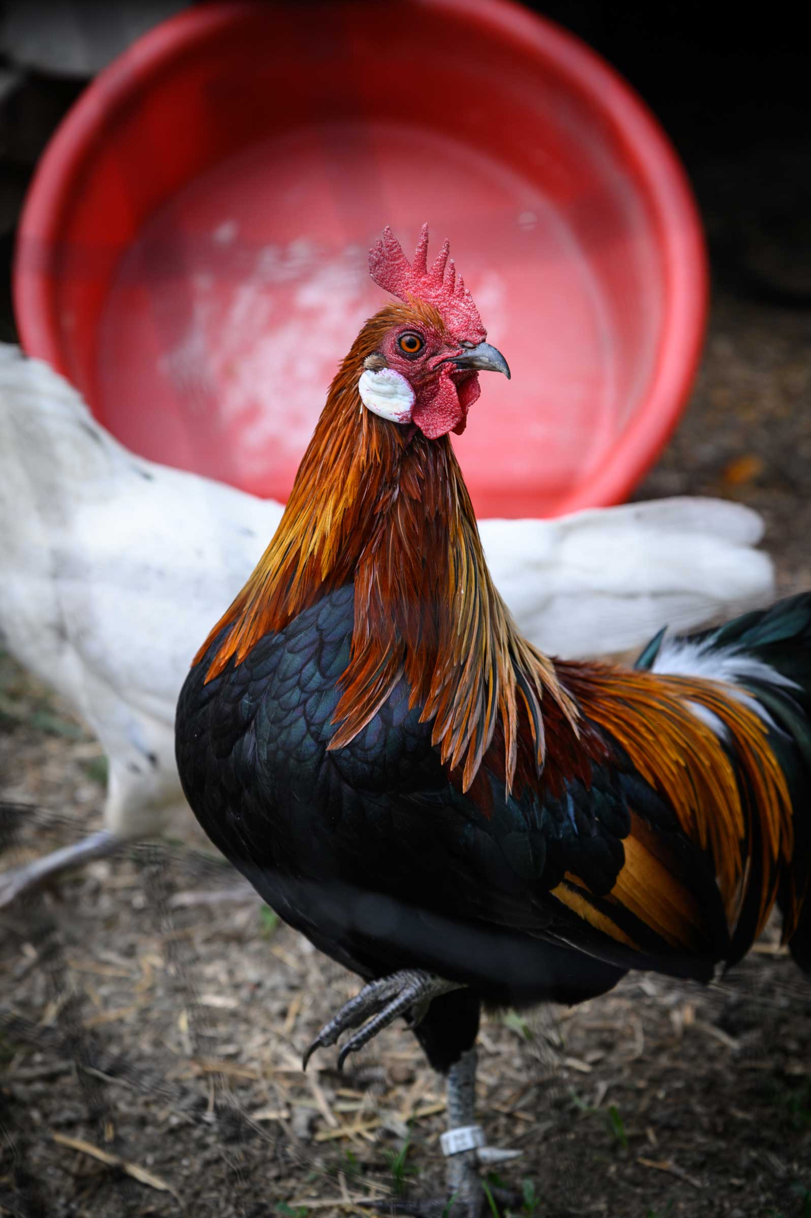 Reportage- und Reise-Fotografie von WINTERPOL Hamburg