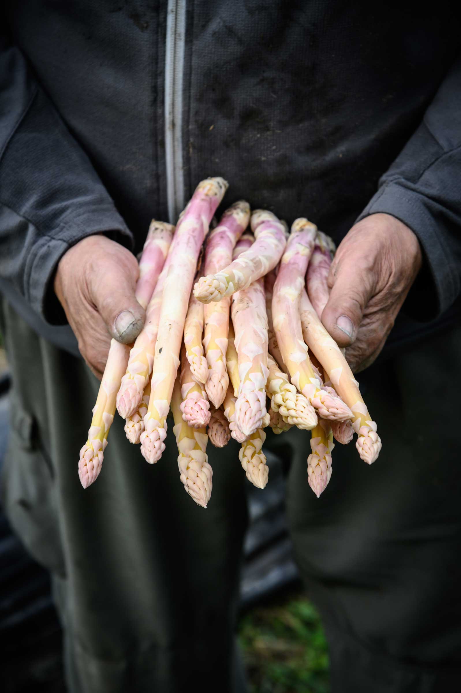 Reportage- und Reise-Fotografie von WINTERPOL Hamburg