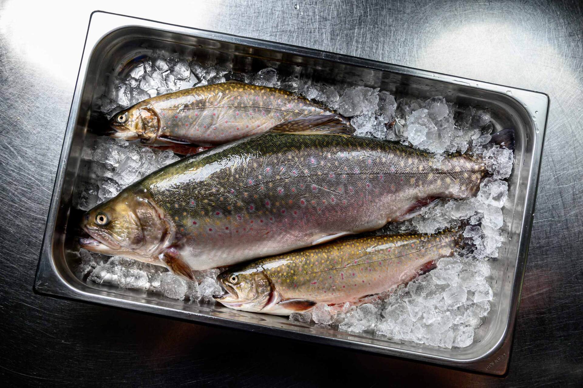 Reportage- und Reise-Fotografie von WINTERPOL Hamburg