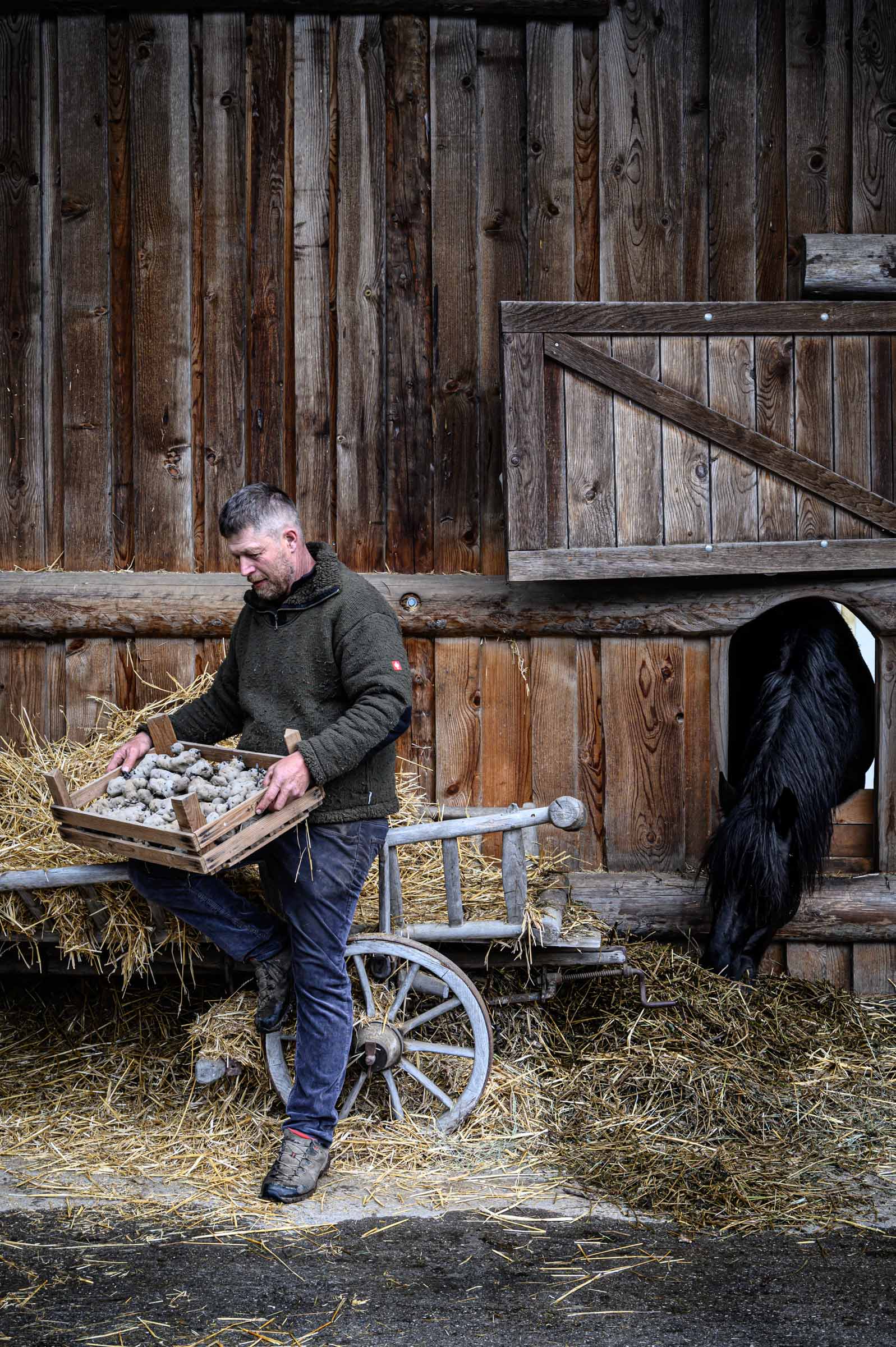 Ein Bauer des Schweizer Biohofs in Filisur sitz vor dem Pferdestall Reportage-Fotografie von WINTERPOL Hamburg