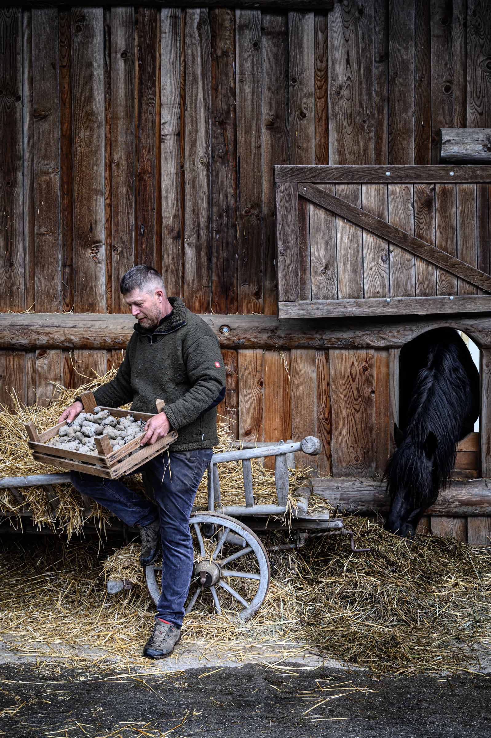 Schweizer Biohof Filisur – Reportage-Fotografie von WINTERPOL Hamburg Ein Bauer des Schweizer Biohofs in Filisur sitz vor dem Pferdestall Reportage-Fotografie von WINTERPOL Hamburg