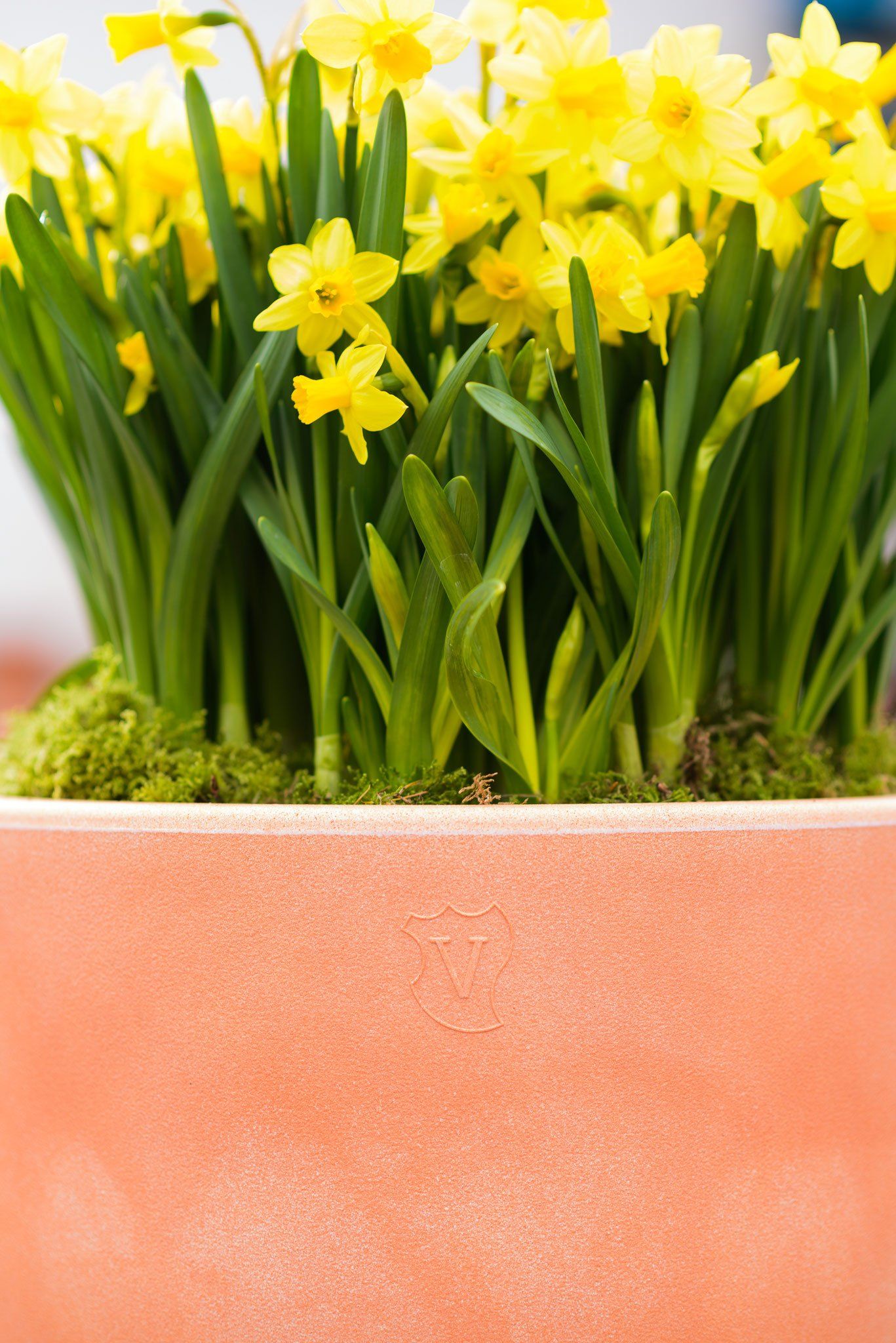 TUCANO Trading · Still Life Fotografie · WINTERPOL Hamburg