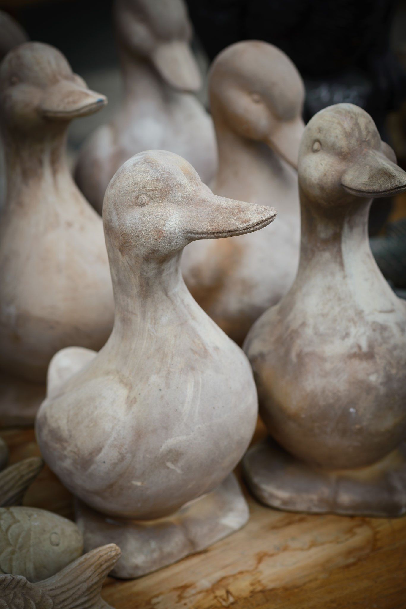 TUCANO Trading · Still Life Fotografie · WINTERPOL Hamburg