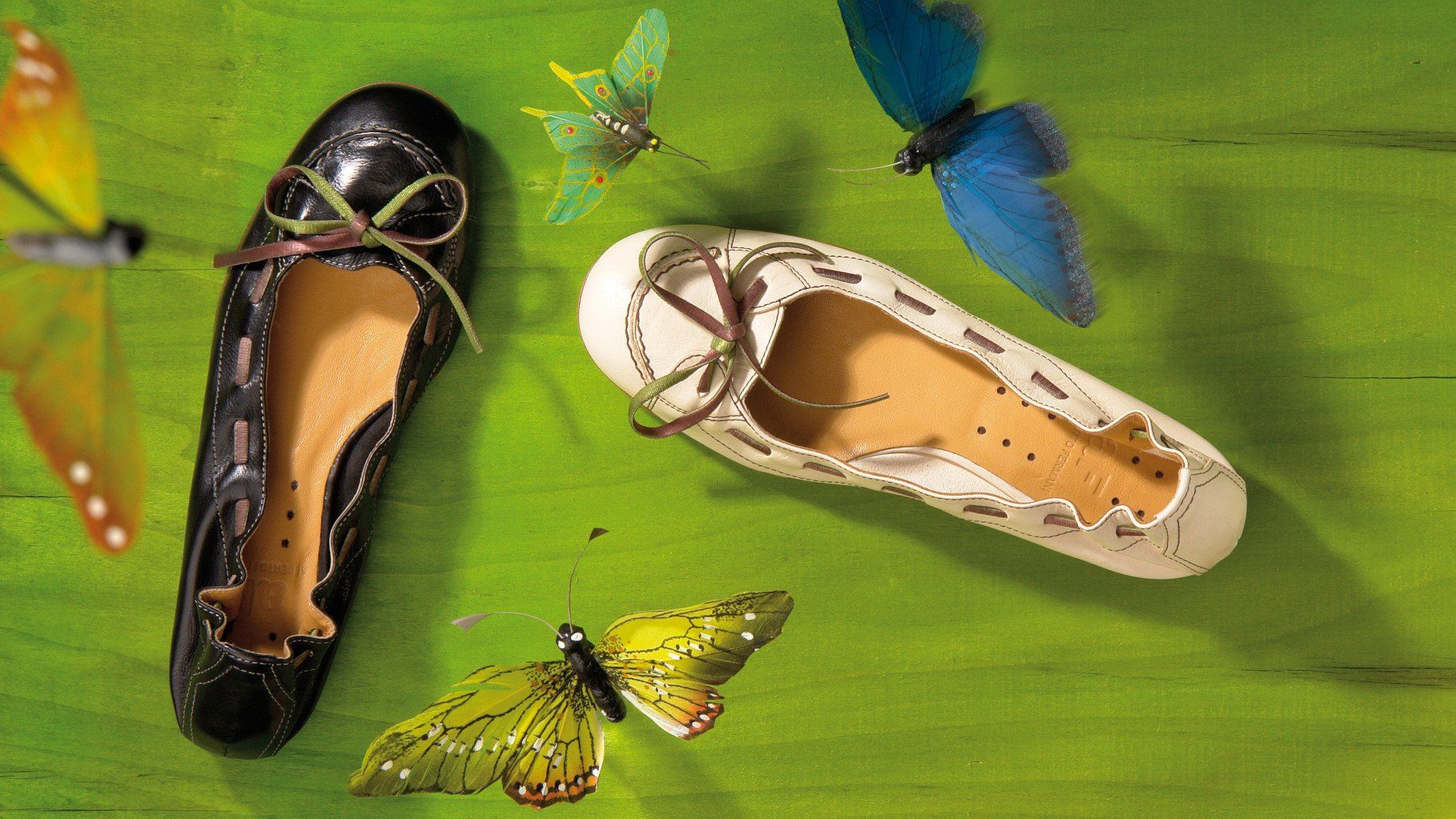 SCARPE · Still Life · WINTERPOL