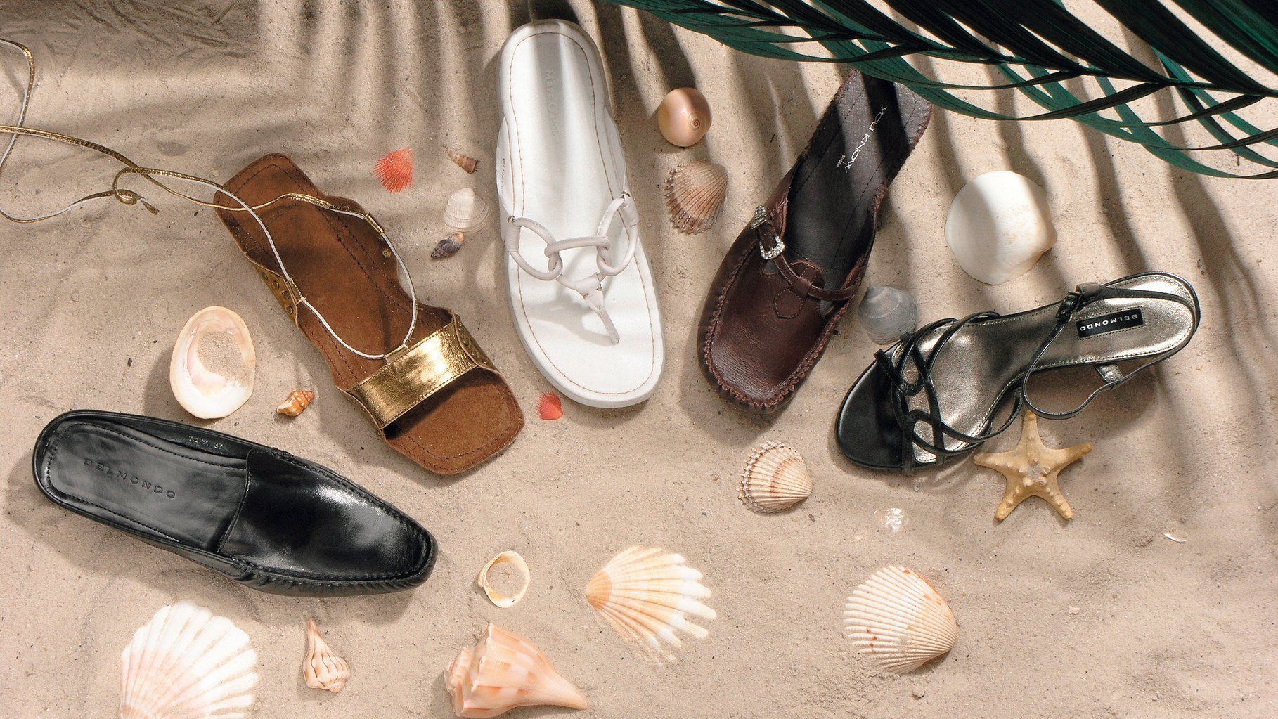 SCARPE · Still Life · WINTERPOL