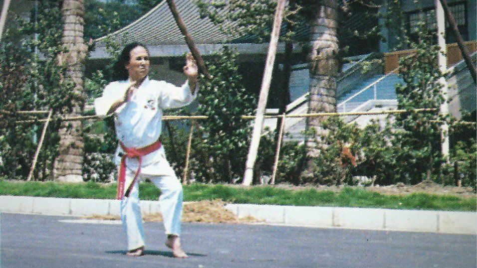 Großmeister Yamaguchi vor dem Budokan in Tokio