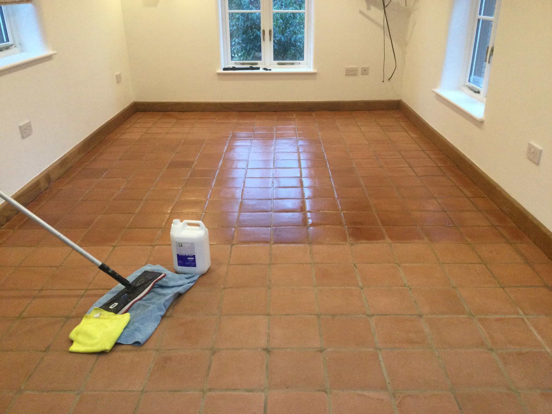 Pulizia e Trattamento Cotto