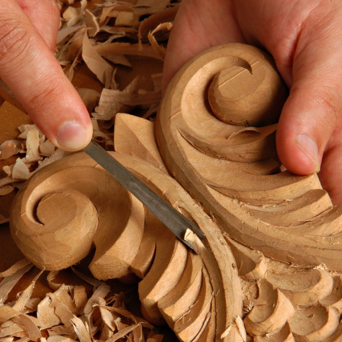 Schulung der Wahrnehmung - Blick fürs Detail Wahrnehmung - Blick fürs Detail