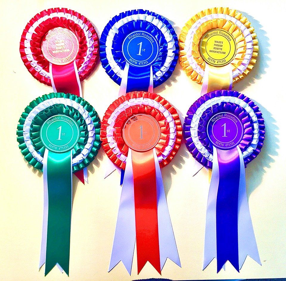 rosette, award, winning ribbon, horse rosette