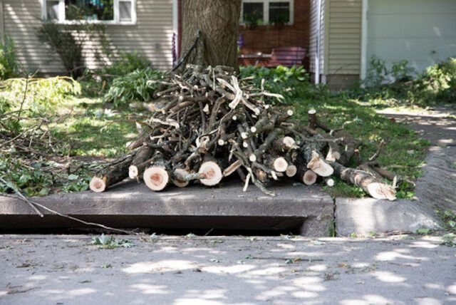 Manvel Junk Removal, Alvin Junk Removal, La Porte Junk Removal, League City Junk Removal, Hitchcock Junk Removal, Santa Fe Junk Removal, Deer Park Junk Removal, Pasadena Junk Removal, Texas City Junk Removal, Pearland Junk Removal, La Marque Junk Removal, San Leon Junk Removal, Friendswood Junk Removal, Bacliff Junk Removal, Kemah Junk Removal, Clear Lake Junk Removal, Shore Acres Junk Removal, Seabrook Junk Removal, Webster Junk Removal,  Manvel Dumpster Rental, Alvin Dumpster Rental, La Porte Dumpster Rental, League City Dumpster Rental, League City Dumpster Rental, Hitchcock Dumpster Rental, Santa Fe Dumpster Rental, Deer Park Dumpster Rental, Pasadena Dumpster Rental, Texas City Dumpster Rental, Pearland Dumpster Rental, La Marque Dumpster Rental, San Leon Dumpster Rental, Friendswood Dumpster Rental, Bacliff Dumpster Rental, Kemah Dumpster Rental, Clear Lake Dumpster Rental, Shore Acres Dumpster Rental, Seabrook Dumpster Rental, Webster Dumpster Rental, Dickinson Junk Removal, Dickinson Dumpster Rental,  Junk Removal Near Me, Dumpster Rental Near Me, Garage Cleanout Near Me, Trash Removal Near Me, Bathroom Remodel Near Me, Storage Unit Cleanout Near Me, Shed Cleanout Near Me, Trash Cleanout Near Me, Appliance Haul Off, Appliance Recycling, E-waste Recycling, Electronics Recycling, Appliance Haul Away Near Me,  Appliance Haul Off Near Me, Free Appliance Removal, Free Appliance Removal Near Me, Trash Removal Near Me, Storage Cleanout Near Me, Curbside Junk Removal,   Junk Removal 77565, Junk Removal 77586, Junk Removal 77507, Junk Removal 77059, Junk Removal 77062, Junk Removal 77058, Junk Removal 77546, Junk Removal 77581, Junk Removal 77034, Junk Removal 77511, Junk Removal 77510, Junk Removal 77518, Junk Removal 77539, Junk Removal 77591, Junk Removal 77590, Junk Removal 77568, Junk Removal 77517, Junk Removal 77578, Junk Removal 77571, Junk Removal 77536, Junk Removal 77503,  Dumpster Rental 77565, Dumpster Rental 77586, Dumpster Rental77507, Dumpster Rental 77059, Dumpster Rental 77062, Dumpster Rental 77058, Dumpster Rental 77546, Dumpster Rental 77581, Dumpster Rental 77034, Dumpster Rental 77511, Dumpster Rental 77510, Dumpster Rental 77518, Dumpster Rental 77539, Dumpster Rental 77591, Dumpster Rental 77590, Dumpster Rental 77568, Dumpster Rental 77517, Dumpster Rental 77578, Dumpster Rental 77511, Dumpster Rental 77536, Dumpster Rental 77503,  Free Haul Off 77565, Free Haul Off 77586, Free Haul Off 77507, Free Haul Off 77059, Free Haul Off 77062, Free Haul Off 77058, Free Haul Off 77546, Free Haul Off 77581, Free Haul Off 77034, Free Haul Off 77511, Free Haul Off 77510, Free Haul Off 77518, Free Haul Off 77539, Free Haul Off 77591, Free Haul Off 77590, Free Haul Off 77568, Free Haul Off 77517, Free Haul Off 77578, Free Haul Off 77571, Free Haul Off 77536, Free Haul Off 77503,  Appliance Haul Off 77565, Appliance Haul Off 77586, Appliance Haul Off 77507, Appliance Haul Off 77059, Appliance Haul Off 77062, Appliance Haul Off 77058, Appliance Haul Off 77546, Appliance Haul Off 77581, Appliance Haul Off 77034, Appliance Haul Off 77511, Appliance Haul Off 77510, Appliance Haul Off 77518, Appliance Haul Off 77539, Appliance Haul Off 77591, Appliance Haul Off 77590, Appliance Haul Off 77568, Appliance Haul Off 77517, Appliance Haul Off 77578, Appliance Haul Off 77571, Appliance Haul Off 77536, Appliance Haul Off 77503,   Furniture Removal 77565, Furniture Removal 77586, Furniture Removal 77507, Furniture Removal 77059, Furniture Removal 77062, Furniture Removal 77058, Furniture Removal 77546, Furniture Removal 77581, Furniture Removal 77034, Furniture Removal 77511, Furniture Removal 77510, Furniture Removal 77518, Furniture Removal 77539, Furniture Removal 77591, Furniture Removal 77590, Furniture Removal 77568, Furniture Removal 77517, Furniture Removal 77578, Furniture Removal 77571, Furniture Removal 77536, Furniture Removal 77503,   Fridge Removal 77565, Fridge Removal 77586, Fridge Removal 77507, Fridge Removal 77059, Fridge Removal 77062, Fridge 77058, Fridge Removal 77546, Fridge Removal 77581, Fridge Removal 77034, Fridge Removal 77511, Fridge Removal 77510, Fridge Removal 77518, Fridge Removal 77539,Fridge Removal 77591, Fridge Removal 77590, Fridge Removal 77568, Fridge Removal 77517, Fridge Removal 77578, Fridge Removal 77571, Fridge Removal 77536,Fridge Removal 77503,   Fridge Removal Manvel, Fridge Removal Alvin, Fridge Removal La Porte, Fridge Removal League City, Fridge Removal Hitchcock, Fridge Removal Santa Fe, Fridge Removal Deer Park, Fridge Removal Pasadena, Fridge Removal Texas City, Fridge Removal Pearland, Fridge Removal La Marque, Fridge Removal Shore Acres, Fridge Removal San Leon, Fridge Removal Friendswood, Fridge Removal Bacliff, Fridge Removal Kemah, Fridge Removal Clear Lake, Fridge Removal Shore Acres, Fridge Removal Seabrook, Fridge Removal Webster, Fridge Removal Dickinson, Fridge Removal Nassau Bay,   Couch Sofa Removal Manvel, Couch Sofa Removal Alvin, Couch Sofa Removal La Porte, Couch Sofa Removal League City, Couch Sofa Removal Hitchcock, Couch Sofa Removal Santa Fe, Couch Sofa Removal Deer Park, Couch Sofa Removal Pasadena, Couch Sofa Removal Texas City, Couch Sofa Removal Pearland, Couch Sofa Removal La Marque, Couch Sofa Removal Shore Acres, Couch Sofa Removal San Leon, Couch Sofa Removal Friendswood, Couch Sofa Removal Bacliff, Couch Sofa Removal Kemah, Couch Sofa Removal Clear Lake, Couch Sofa Removal Shore Acres, Couch Sofa Removal Seabrook, Couch Sofa Removal Webster, Couch Sofa Removal Dickinson, Couch Sofa Removal Nassau Bay,   Furniture Removal Manvel, Furniture Removal Alvin, Furniture Removal La Porte, Furniture Removal League City, Furniture Removal Hitchcock, Furniture Removal Santa Fe, Furniture Removal Deer Park, Furniture Removal Pasadena, Furniture Removal Texas City, Furniture Removal Pearland, Furniture Removal La Marque, Furniture Removal Shore Acres, Furniture Removal San Leon, Furniture Removal Friendswood, Furniture Removal Bacliff, Furniture Removal Kemah, Furniture Removal Clear Lake, Furniture Removal Shore Acres, Furniture Removal Seabrook,Furniture Removal Webster, Furniture Removal Dickinson, Furniture Removal Nassau Bay,  Appliance Removal Manvel, Appliance Removal Alvin, Appliance Removal La Porte, Appliance Removal League City, Appliance Removal Hitchcock, Appliance Removal Santa Fe, Appliance Removal Deer Park, Appliance Removal Pasadena, Appliance Removal Texas City, Appliance Removal Pearland, Appliance Removal La Marque, Appliance Removal Shore Acres, Appliance Removal San Leon, Appliance Removal Friendswood, Appliance Removal Bacliff, Appliance Removal Kemah, Appliance Removal Clear Lake, Appliance Removal Shore Acres, Appliance Removal Seabrook, Appliance Removal Webster, Appliance Removal Dickinson, Appliance Removal Nassau Bay,  Playset Removal Manvel, Playset Removal Alvin, Playset Removal La Porte, Playset Removal League City, Playset Removal Hitchcock, Playset Removal Santa Fe, Playset Removal Deer Park, Playset Removal Pasadena, Playset Removal Texas City, Appliance Removal Pearland, Appliance Removal La Marque, Playset Removal Shore Acres, Playset Removal San Leon, Playset Removal Friendswood, Playset Removal Bacliff, Playset Removal Kemah, Playset Removal Clear Lake city, Playset Removal Shore Acres, Playset Removal Seabrook, Playset Removal Webster, Playset Removal Dickinson, Playset Removal Nassau Bay,  trash Removal Manvel, trash Removal Alvin, trash Removal La Porte, trash Removal League City, trash Removal Hitchcock, trash Removal Santa Fe, trash Removal Deer Park,trash Removal Pasadena, trash Removal Texas City, Appliance Removal Pearland, Appliance Removal La Marque, trash Removal Shore Acres, trash Removal San Leon, trash Removal Friendswood, trash Removal Bacliff, trash Removal Kemah, trash Removal Clear Lake city, trash Removal Shore Acres, trash Removal Seabrook, trash Removal Webster, trash Removal Dickinson, trash Removal Nassau Bay,  trash Removal 77565, trash Removal 77586, trash Removal 77507, trash Removal 77059, trash Removal 77062, trash Removal 77058, trash Removal 77546, trash Removal 77581, trash Removal 77034,trash Removal 77511, trash Removal 77510, trash Removal 77518, trash Removal 77539, trash Removal 77591, trash Removal 77590, trash Removal 77568, trash Removal 77517, trash Removal 77578, trash Removal 77571, trash Removal 77536, trash Removal 77503,  trash valet service 77565, trash valet service 77586, trash valet service 77507, trash valet service 77059, trash valet service 77062, trash valet service 77058, trash valet service 77546, trash valet service 77581, trash valet service 77034,trash valet service 77511, trash valet service 77510, trash valet service 77518, trash valet service 77539, trash valet service 77591, trash valet service 77590, trash valet service 77568, trash valet service 77517, trash valet service 77578, trash valet service 77571, trash valet service 77536, trash valet service 77503,  trash Valet Service Manvel, trash Valet Service Alvin, trash Valet Service La Porte, trash Valet Service League City, trash Valet Service Hitchcock, trash Valet Service Santa Fe, trash Valet Service Deer Park,trash Valet Service Pasadena, trash Valet Service Texas City, trash Valet Service Pearland, trash Valet Service La Marque, trash Valet Service Shore Acres, trash Valet Service San Leon, trash Valet Service  Friendswood, trash Valet Service Bacliff, trash Valet Service Kemah, trash Valet Service Clear Lake city, trash Valet Service Shore Acres, trash Valet Service Seabrook, trash Valet Service Webster, trash Valet Service Dickinson, trash Valet Service Nassau Bay,  Restaurant Cleanout service 77565, Restaurant Cleanout service 77586,Restaurant Cleanout service 77507, Restaurant Cleanout service 77059, Restaurant Cleanout service 77062, Restaurant Cleanout service 77058, Restaurant Cleanout service 77546, Restaurant Cleanout service 77581, Restaurant Cleanout service 77034, Restaurant Cleanout service 77511, Restaurant Cleanout service 77510, Restaurant Cleanout service 77518, Restaurant Cleanout service 77539, Restaurant Cleanout service 77591, Restaurant Cleanout service 77590, Restaurant Cleanout service 77568, Restaurant Cleanout service 77517, Restaurant Cleanout service 77578, Restaurant Cleanout service 77571, Restaurant Cleanout service 77536, Restaurant Cleanout service 77503,  Restaurant Cleanout Service Manvel, Restaurant Cleanout Service Alvin, Restaurant Cleanout Service La Porte, Restaurant Cleanout Service League City, Restaurant Cleanout Service Hitchcock, Restaurant Cleanout Service Santa Fe, Restaurant Cleanout Service Deer Park, Restaurant Cleanout Service Pasadena, Restaurant Cleanout Service Texas City, Restaurant Cleanout Service Pearland, Restaurant Cleanout Service La Marque, Restaurant Cleanout Service Shore Acres, Restaurant Cleanout Service San Leon, Restaurant Cleanout Service Friendswood, Restaurant Cleanout Service Bacliff, Restaurant Cleanout Service Kemah, Restaurant Cleanout Service Clear Lake city, Restaurant Cleanout Service Shore Acres, Restaurant Cleanout Service Seabrook, Restaurant Cleanout Service Webster, Restaurant Cleanout Service Dickinson, Restaurant Cleanout Service Nassau Bay,  Pergolas removal 77565, Pergolas removal 77586, Pergolas removal 77507, Pergolas removal 77059, Pergolas removal 77062, Pergolas removal 77058, Pergolas removal 77546, Pergolas removal 77581, Pergolas removal 77034, Pergolas removal 77511, Pergolas removal 77510, Pergolas removal 77518, Pergolas removal 77539, Pergolas removal 77591, Pergolas removal 77590, Pergolas removal 77568, Pergolas removal 77517, Pergolas removal 77578, Pergolas removal 77571, Pergolas removal 77536, Pergolas removal 77503,  Pergolas removal Manvel, Pergolas removal Alvin, Pergolas removal La Porte, Pergolas removal League City, Pergolas removal Hitchcock, Pergolas removal Santa Fe, Pergolas removal Deer Park, Pergolas removal Pasadena, Pergolas removal Texas City, Pergolas removal Pearland, Pergolas removal La Marque, Pergolas removal Shore Acres, Pergolas removal San Leon, Pergolas removal Friendswood, Pergolas removal Bacliff, Pergolas removal Kemah, Pergolas removal Clear Lake city, Pergolas removal Shore Acres, Pergolas removal Seabrook, Pergolas removal Webster, Pergolas removal Dickinson, Pergolas removal Nassau Bay, Debris removal 77565, Debris removal 77586, Debris removal 77507, Debris removal 77059, Debris removal 77062, Debris removal 77058, Debris removal 77546, Debris removal 77581, Debris removal 77034, Debris removal 77511, Debris removal 77510, Debris removal 77518, Debris removal 77539, Debris removal 77591, Debris removal 77590, Debris removal 77568, Debris removal 77517, Debris removal 77578, Debris removal 77571, Debris removal 77536, Debris removal 77503,  Debris removal Manvel, Debris removal Alvin, Debris removal La Porte, Debris removal League City, Debris removal Hitchcock, Debris removal Santa Fe, Debris removal Deer Park, Debris removal Pasadena, Debris removal Texas City, Debris removal Pearland, Debris removal La Marque, Debris removal Shore Acres, Debris removal San Leon, Debris removal Friendswood, Debris removal Bacliff, Debris removal Kemah, Debris removal Clear Lake city, Debris removal Shore Acres, Debris removal Seabrook, Debris removal Webster, Debris removal Dickinson, Debris removal Nassau Bay,  Mattress removal 77565, Mattress removal 77586, Mattress removal 77507, Mattress removal 77059, Mattress removal 77062, Mattress removal 77058, Mattress removal 77546, Mattress removal 77581, Mattress removal 77034, Mattress removal 77511, Mattress removal 77510, Mattress removal 77518, Mattress removal 77539, Mattress removal 77591, Mattress removal 77590, Mattress removal 77568, Mattress removal 77517, Mattress removal 77578, Mattress removal 77571, Mattress removal 77536, Mattress removal 77503,  Mattress removal Manvel, Mattress removal Alvin, Mattress removal La Porte, Mattress removal League City, Mattress removal Hitchcock, Mattress removal Santa Fe, Mattress removal Deer Park, Mattress removal Pasadena, Mattress removal Texas City, Mattress removal Pearland, Mattress removal La Marque, Mattress removal Shore Acres, Mattress removal San Leon, Mattress removal Friendswood, Mattress removal Bacliff, Mattress removal Kemah, Mattress removal Clear Lake city, Mattress removal Shore Acres, Mattress removal Seabrook, Mattress removal Webster, Mattress removal Dickinson, Mattress removal Nassau Bay,  Dumpster Bag removal 77565, Dumpster Bag removal 77586, Dumpster Bag removal 77507, Dumpster Bag removal 77059, Dumpster Bag removal 77062, Dumpster Bag removal 77058, Dumpster Bag removal 77546, Dumpster Bag removal 77581, Dumpster Bags removal 77034, Dumpster Bag removal 77511, Dumpster Bag removal 77510, Dumpster Bag removal 77518, Dumpster Bag removal 77539, Dumpster Bag removal 77591, Dumpster Bag removal 77590, Dumpster Bag removal 77568, Dumpster Bag removal 77517, Dumpster Bag removal 77578, Dumpster Bag removal 77571, Dumpster Bag removal 77536, Dumpster Bag removal 77503,  Dumpster Bag removal Manvel, Dumpster Bag removal Alvin, Dumpster Bag removal La Porte, Dumpster Bag removal League City, Dumpster Bag removal Hitchcock, Dumpster Bag removal Santa Fe, Dumpster Bag removal Deer Park, Dumpster Bag removal Pasadena, Dumpster Bag removal Texas City, Dumpster Bag removal Pearland, Dumpster Bag removal La Marque, Dumpster Bag removal Shore Acres, Dumpster Bag removal San Leon, Dumpster Bag removal Friendswood, Dumpster Bag removal Bacliff, Dumpster Bag removal Kemah, Dumpster Bag removal Clear Lake city, Dumpster Bag removal Shore Acres, Dumpster Bag removal Seabrook, Dumpster Bag removal Webster, Dumpster Bag removal Dickinson, Dumpster Bag removal Nassau Bay,  Free appliance removal 77565, Free appliance removal 77586, Free appliance removal 77507, Free appliance removal 77059, Free appliance removal 77062, Free appliance removal 77058, Free appliance removal 77546, Free appliance removal 77581, Free appliance removal 77034, Free appliance removal 77511, Free appliance removal 77510, Free appliance removal 77518, Free appliance removal 77539, Free appliance removal 77591, Free appliance removal 77590, Free appliance removal 77568, Free appliance removal 77517, Free appliance removal 77578, Free appliance removal 77571, Free appliance removal 77536, Free appliance removal 77503,  Free appliance removal Manvel, Free appliance removal Alvin, Free appliance removal La Porte, Free appliance removal League City, Free appliance removal Hitchcock, Free appliance removal Santa Fe, Free appliance removal Deer Park, Free appliance removal Pasadena, Free appliance removal Texas City, Free appliance removal Pearland, Free appliance removal La Marque, Free appliance removal Shore Acres, Free appliance removal San Leon, Free appliance removal Friendswood, Free appliance removal Bacliff, Free appliance removal Kemah, Free appliance removal Clear Lake city, Free appliance removal Shore Acres, Free appliance removal Seabrook, Free appliance removal Webster, Free appliance removal Dickinson, Free appliance removal Nassau Bay,  Pool Table removal 77565, Pool Table removal 77586, Pool Table removal 77507, Pool Table removal 77059, Pool Table removal 77062, Pool Table removal 77058, Pool Table removal 77546, Pool Table removal 77581, Pool Table removal 77034, Pool Table removal 77511, Pool Table removal 77510, Pool Table removal 77518, Pool Table removal 77539, Pool Table removal 77591, Pool Table removal 77590, Pool Table removal 77568, Pool Table removal 77517, Pool Table removal 77578, Pool Table removal 77571, Pool Table removal 77536, Pool Table removal 77503,  Pool Table removal Manvel, Pool Table removal Alvin, Pool Table removal La Porte, Pool Table removal League City, Pool Table removal Hitchcock, Pool Table removal Santa Fe, Pool Table removal Deer Park, Pool Table removal Pasadena, Pool Table removal Texas City, Pool Table removal Pearland, Pool Table removal La Marque, Pool Table removal Shore Acres, Pool Table removal San Leon, Pool Table removal Friendswood, Pool Table removal Bacliff, Pool Table removal Kemah, Pool Table removal Clear Lake city, Pool Table removal Shore Acres, Pool Table removal Seabrook, Pool Table removal Webster, Pool Table removal Dickinson, Pool Table removal Nassau Bay,  hockey Table removal 77565, hockey Table removal 77586, hockey Table removal 77507, hockey Table removal 77059, hockey Table removal 77062, hockey Table removal 77058, hockey Table removal 77546, hockey Table removal 77581, hockey Table removal 77034, hockey Table removal 77511, hockey Table removal 77510, hockey Table removal 77518, hockey Table removal 77539, hockey Table removal 77591, hockey Table removal 77590, hockey Table removal 77568, hockey Table removal 77517, hockey Table removal 77578, hockey Table removal 77571, hockey Table removal 77536, hockey Table removal 77503,  hockey Table removal Manvel, hockey Table removal Alvin, hockey Table removal La Porte, hockey Table removal League City, hockey Table removal Hitchcock, hockey Table removal Santa Fe, hockey Table removal Deer Park, hockey Table removal Pasadena, hockey Table removal Texas City, hockey Table removal Pearland, hockey Table removal La Marque, hockey Table removal Shore Acres, hockey Table removal San Leon, hockey Table removal Friendswood, hockey Table removal Bacliff, hockey Table removal Kemah, hockey Table removal Clear Lake city, hockey Table removal Shore Acres, hockey Table removal Seabrook, hockey Table removal Webster, hockey Table removal Dickinson, hockey Table removal Nassau Bay,  Ping Pong Table removal 77565, Ping Pong Table removal 77586, Ping Pong Table removal 77507, Ping Pong Table removal 77059, Ping Pong Table removal 77062, Ping Pong Table removal 77058, Ping Pong Table removal 77546, Ping Pong Table removal 77581, Ping Pong Table removal 77034, Ping Pong Table removal 77511, Ping Pong Table removal 77510, Ping Pong Table removal 77518, Ping Pong Table removal 77539, Ping Pong Table removal 77591, Ping Pong Table removal 77590, Ping Pong Table removal 77568, Ping Pong Table removal 77517, Ping Pong Table removal 77578, Ping Pong Table removal 77571, Ping Pong Table removal 77536, Ping Pong Table removal 77503,  Ping Pong Table removal Manvel, Ping Pong Table removal Alvin, Ping Pong Table removal La Porte, Ping Pong Table removal League City, Ping Pong Table removal Hitchcock, Ping Pong Table removal Santa Fe, Ping Pong Table removal Deer Park, Ping Pong Table removal Pasadena, Ping Pong Table removal Texas City, Ping Pong Table removal Pearland, Ping Pong Table removal La Marque, Ping Pong Table removal Shore Acres, Ping Pong Table removal San Leon, Ping Pong Table removal Friendswood, Ping Pong Table removal Bacliff, Ping Pong Table removal Kemah, Ping Pong Table removal Clear Lake city, Ping Pong Table removal Shore Acres, Ping Pong Table removal Seabrook, Ping Pong Table removal Webster, Ping Pong Table removal Dickinson, Ping Pong Table removal Nassau Bay,  Yard Cleanup 77565, Yard Cleanup 77586, Yard Cleanup 77507, Yard Cleanup 77059, Yard Cleanup 77062, Yard Cleanup 77058, Yard Cleanup 77546, Yard Cleanup 77581, Yard Cleanup 77034, Yard Cleanup 77511, Yard Cleanup 77510, Yard Cleanup 77518, Yard Cleanup 77539, Yard Cleanup 77591, Yard Cleanup 77590, Yard Cleanup 77568, Yard Cleanup 77517, Yard Cleanup 77578, Yard Cleanup 77571, Yard Cleanup 77536, Yard Cleanup 77503,  Yard Cleanup Manvel, Yard Cleanup Alvin, Yard Cleanup La Porte, Yard Cleanup League City, Yard Cleanup Hitchcock, Yard Cleanup Santa Fe, Yard Cleanup Deer Park, Yard Cleanup Pasadena, Yard Cleanup Texas City, Yard Cleanup Pearland, Yard Cleanup La Marque, Yard Cleanup Shore Acres, Yard Cleanup San Leon, Yard Cleanup Friendswood, Yard Cleanup Bacliff, Yard Cleanup Kemah, Yard Cleanup Clear Lake city, Yard Cleanup Shore Acres, Yard Cleanup Seabrook, Yard Cleanup Webster, Yard Cleanup Dickinson, Yard Cleanup Nassau Bay,  Junk removal harris county, junk removal galveston county, junk hauling harris county, junk hauling galveston county, free appliance removal harris county, free appliance removal galveston county, furniture removal harris county, furniture removal galveston county, sofa removal harris county, sofa removal galveston county, couch removal harris county, couch removal galveston county, dumpster bag removal harris county, dumpster bag removal galveston county, Mattress removal harris county, mattress removal galveston county, debris removal harris county, debris removal galveston county, Trash valet harris county, trash valet galveston county, trash removal harris county, trash removal galveston county, Playset removal harris county, playset removal galveston county, bed removal galveston county, bed removal harris county, dresser removal harris county, dresser removal galveston county, computer removal harris county, computer removal galveston county, electronics removal harris county, electronics removal galveston county, pergola removal harris county, pergola removal galveston county, fridge removal harris county, refridgerator removal harris county, fridge removal galveston county, washing machine removal haris county, washing machine removal galveston county, dryer removal harris county, dryer removal galveston county, retail store cleanout harris county, retail store cleanout galveston county, fence haul off harris county, fence haul off galveston county  Computer removal 77565, Computer removal 77586, Computer removal 77507, Computer removal 77059, Computer removal 77062, Computer removal 77058, Computer removal 77546, Computer removal 77581, Computer removal 77034, Computer removal 77511, Computer removal 77510, Computer removal 77518, Computer removal 77539, Computer removal 77591, Computer removal 77590, Computer removal 77568, Computer removal 77517, Computer removal 77578, Computer removal 77571, Computer removal 77536, Computer removal 77503,  Computer removal Manvel, Computer removal Alvin, Computer removal La Porte, Computer removal League City, Computer removal Hitchcock, Computer removal Santa Fe, Computer removal Deer Park, Computer removal Pasadena, Computer removal Texas City, Computer removal Pearland, Computer removal La Marque, Computer removal Shore Acres, Computer removal San Leon, Computer removal Friendswood, Computer removal Bacliff, Computer removal Kemah, Computer removal Clear Lake city, Computer removal Shore Acres, Computer removal Seabrook, Computer removal Webster, Computer removal Dickinson, Computer removal Nassau Bay,  electronics removal 77565, electronics removal 77586, electronics removal 77507, electronics removal 77059, electronics removal 77062, electronics removal 77058, electronics removal 77546, electronics removal 77581, electronics removal 77034, electronics removal 77511, electronics removal 77510, electronics removal 77518, electronics removal 77539, electronics removal 77591, electronics removal 77590, electronics removal 77568, electronics removal 77517, electronics removal 77578, electronics removal 77571, electronics removal 77536, electronics removal 77503,  electronics removal Manvel, electronics removal Alvin, electronics removal La Porte, electronics removal League City, electronics removal Hitchcock, electronics removal Santa Fe, electronics removal Deer Park, electronics removal Pasadena, electronics removal Texas City, electronics removal Pearland, electronics removal La Marque, electronics removal Shore Acres, electronics removal San Leon, electronics removal Friendswood, electronics removal Bacliff, electronics removal Kemah, electronics removal Clear Lake city, electronics removal Shore Acres, electronics removal Seabrook, electronics removal Webster, electronics removal Dickinson, electronics removal Nassau Bay,  Hoarder Cleanout 77565, Hoarder Cleanout 77586, Hoarder Cleanout 77507, Hoarder Cleanout 77059, Hoarder Cleanout 77062, Hoarder Cleanout 77058, Hoarder Cleanout 77546, Hoarder Cleanout 77581, Hoarder Cleanout 77034, Hoarder Cleanout 77511, Hoarder Cleanout 77510, Hoarder Cleanout 77518, Hoarder Cleanout 77539, Hoarder Cleanout 77591, Hoarder Cleanout 77590, Hoarder Cleanout 77568, Hoarder Cleanout 77517, Hoarder Cleanout 77578, Hoarder Cleanout 77571, Hoarder Cleanout 77536, Hoarder Cleanout 77503,  Hoarder Cleanout Manvel, Hoarder Cleanout Alvin, Hoarder Cleanout La Porte, Hoarder Cleanout League City, Hoarder Cleanout Hitchcock, Hoarder Cleanout Santa Fe, Hoarder Cleanout Deer Park, Hoarder Cleanout Pasadena, Hoarder Cleanout Texas City, Hoarder Cleanout Pearland, Hoarder Cleanout La Marque, Hoarder Cleanout Shore Acres, Hoarder Cleanout San Leon, Hoarder Cleanout Friendswood, Hoarder Cleanout Bacliff, Hoarder Cleanout Kemah, Hoarder Cleanout Clear Lake city, Hoarder Cleanout Shore Acres, Hoarder Cleanout Seabrook, Hoarder Cleanout Webster, Hoarder Cleanout Dickinson, Hoarder Cleanout Nassau Bay,  Eviction Cleanout 77565, Eviction Cleanout 77586, Eviction Cleanout 77507, Eviction Cleanout 77059, Eviction Cleanout 77062, Eviction Cleanout 77058, Eviction Cleanout 77546, Eviction Cleanout 77581, Eviction Cleanout 77034, Eviction Cleanout 77511,Eviction Cleanout 77510, Eviction Cleanout 77518, Eviction Cleanout 77539, Eviction Cleanout 77591, Eviction Cleanout 77590, Eviction Cleanout 77568, Eviction Cleanout 77517, Eviction Cleanout 77578, Eviction Cleanout 77571, Eviction Cleanout 77536, Eviction Cleanout 77503,  Eviction Cleanout Manvel, Eviction Cleanout Alvin, Eviction Cleanout La Porte, Eviction Cleanout League City, Eviction Cleanout Hitchcock, Eviction Cleanout Santa Fe, Eviction Cleanout Deer Park, Eviction Cleanout Pasadena, Eviction Cleanout Texas City, Eviction Cleanout Pearland, Eviction Cleanout La Marque, Eviction Cleanout Shore Acres, Eviction Cleanout San Leon, Eviction Cleanout Friendswood, Eviction Cleanout Bacliff, Eviction Cleanout Kemah, Eviction Cleanout Clear Lake city, Eviction Cleanout Shore Acres, Eviction Cleanout Seabrook, Eviction Cleanout Webster, Eviction Cleanout Dickinson, Eviction Cleanout Nassau Bay,  Foreclosure Cleanout 77565, Foreclosure Cleanout 77586, Foreclosure Cleanout 77507, Foreclosure Cleanout 77059, Foreclosure Cleanout 77062, Foreclosure Cleanout 77058, Foreclosure Cleanout 77546, Foreclosure Cleanout 77581, Foreclosure Cleanout 77034, Foreclosure Cleanout 77511, Foreclosure Cleanout 77510, Foreclosure Cleanout 77518, Foreclosure Cleanout 77539, Foreclosure Cleanout 77591, Foreclosure Cleanout 77590, Foreclosure Cleanout 77568, Foreclosure Cleanout 77517, Foreclosure Cleanout 77578, Foreclosure Cleanout 77571, Foreclosure Cleanout 77536, Foreclosure Cleanout 77503,  Foreclosure Cleanout Manvel, Foreclosure Cleanout Alvin, Foreclosure Cleanout La Porte, Foreclosure Cleanout League City, Foreclosure Cleanout Hitchcock, Foreclosure Cleanout Santa Fe, Foreclosure Cleanout Deer Park, Foreclosure Cleanout Pasadena, Foreclosure Cleanout Texas City, Foreclosure Cleanout Pearland, Foreclosure Cleanout La Marque, Foreclosure Cleanout Shore Acres, Foreclosure Cleanout San Leon, Foreclosure Cleanout Friendswood, Foreclosure Cleanout Bacliff, Foreclosure Cleanout Kemah, Foreclosure Cleanout Clear Lake city, Foreclosure Cleanout Shore Acres, Foreclosure Cleanout Seabrook, Foreclosure Cleanout Webster, Foreclosure Cleanout Dickinson, Foreclosure Cleanout Nassau Bay,  Bankruptcy Cleanout 77565, Bankruptcy Cleanout 77586, Bankruptcy Cleanout 77507, Bankruptcy Cleanout 77059, Bankruptcy Cleanout 77062, Bankruptcy Cleanout 77058, Bankruptcy Cleanout 77546, Bankruptcy Cleanout 77581, Bankruptcy Cleanout 77034, Bankruptcy Cleanout 77511, Bankruptcy Cleanout 77510, Bankruptcy Cleanout 77518, Bankruptcy Cleanout 77539, Bankruptcy Cleanout 77591, Bankruptcy Cleanout 77590, Bankruptcy Cleanout 77568, Bankruptcy Cleanout 77517,Bankruptcy Cleanout 77578, Bankruptcy Cleanout 77571, Bankruptcy Cleanout 77536, Bankruptcy Cleanout 77503,  Bankruptcy Cleanout Manvel, Bankruptcy Cleanout Alvin, Bankruptcy Cleanout La Porte, Bankruptcy Cleanout League City, Bankruptcy Cleanout Hitchcock, Bankruptcy Cleanout Santa Fe, Bankruptcy Cleanout Deer Park, Bankruptcy Cleanout Pasadena, Bankruptcy Cleanout Texas City, Bankruptcy Cleanout Pearland, Bankruptcy Cleanout La Marque, Bankruptcy Cleanout Shore Acres, Bankruptcy Cleanout San Leon, Bankruptcy Cleanout Friendswood, Bankruptcy Cleanout Bacliff, Bankruptcy Cleanout Kemah, Bankruptcy Cleanout Clear Lake city, Bankruptcy Cleanout Shore Acres, Bankruptcy Cleanout Seabrook, Bankruptcy Cleanout Webster, Bankruptcy Cleanout Dickinson, Bankruptcy Cleanout Nassau Bay,  Retail Store Cleanout 77565, Retail Store Cleanout 77586, Retail Store Cleanout 77507, Retail Store Cleanout 77059, Retail Store Cleanout 77062, Retail Store Cleanout 77058, Retail Store Cleanout 77546, Retail Store Cleanout 77581, Retail Store Cleanout 77034, Retail Store Cleanout 77511, Retail Store Cleanout 77510, Retail Store Cleanout 77518, Retail Store Cleanout 77539, Retail Store Cleanout 77591, Retail Store Cleanout 77590, Retail Store Cleanout 77568, Retail Store Cleanout 77517,Retail Store Cleanout 77578, Retail Store Cleanout 77571, Retail Store Cleanout 77536, Retail Store Cleanout 77503,  Retail Store Cleanout Manvel, Retail Store Cleanout Alvin, Retail Store Cleanout La Porte, Retail Store Cleanout League City, Retail Store Cleanout Hitchcock, Retail Store Cleanout Santa Fe, Retail Store Cleanout Deer Park, Retail Store Cleanout Pasadena, Retail Store Cleanout Texas City, Retail Store Cleanout Pearland, Retail Store Cleanout La Marque, Retail Store Cleanout Shore Acres, Retail Store Cleanout San Leon, Retail Storey Cleanout Friendswood, Retail Store Cleanout Bacliff, Retail Store Cleanout Kemah, Retail Store Cleanout Clear Lake city, Retail Store Cleanout Shore Acres, Retail Store Cleanout Seabrook, Retail Store Cleanout Webster, Retail Store Cleanout Dickinson, Retail Store Cleanout Nassau Bay, Retail Store Cleanout baytown,  Rental Property Cleanout 77565, Rental Property Cleanout 77586, Rental Property Cleanout 77507, Rental Property Cleanout 77059, Rental Property Cleanout 77062, Rental Property Cleanout 77058, Rental Property Cleanout 77546, Rental Property Cleanout 77581, Rental Property Cleanout 77034, Rental Property Cleanout 77511, Rental Property Cleanout 77510, Rental Property Cleanout 77518, Rental Property Cleanout 77539, Rental Property Cleanout 77591, Rental Property Cleanout 77590, Rental Property Cleanout 77568,Rental Property Cleanout 77517, Rental Property Cleanout 77578, Rental Property Cleanout 77571, Rental Property Cleanout 77536, Rental Property Cleanout 77503,  Rental Property Cleanout Manvel, Rental Property Cleanout Alvin, Rental Property Cleanout La Porte, Rental Property Cleanout League City, Rental Property Cleanout Hitchcock, Rental Property Cleanout Santa Fe, Rental Property Cleanout Deer Park, Rental Property Cleanout Pasadena, Rental Property Cleanout Texas City, Rental Property Cleanout Pearland, Rental Property Cleanout La Marque, Rental Property Cleanout Shore Acres, Rental Property Cleanout San Leon, Rental Property Cleanout Friendswood, Rental Property Cleanout Bacliff, Rental Property Cleanout Kemah, Rental Property Cleanout Clear Lake city, Rental Property Cleanout Shore Acres, Rental Property Cleanout Seabrook, Rental Property Cleanout Webster, Rental Property Cleanout Dickinson, Rental Property Cleanout Nassau Bay, Rental Property Cleanout baytown,  Fence Haul Off 77565, Fence Haul Off 77586, Fence Haul Off 77507, Fence Haul Off 77059, Fence Haul Off 77062, Fence Haul Off 77058, Fence Haul Off 77546, Fence Haul Off 77581, Fence Haul Off 77034, Fence Haul Off 77511, Fence Haul Off 77510, Fence Haul Off 77518, Fence Haul Off 77539, Fence Haul Off 77591, Fence Haul Off 77590, Fence Haul Off 77568, Fence Haul Off 77517, Fence Haul Off 77578, Fence Haul Off 77571, Fence Haul Off 77536, Fence Haul Off 77503,  Fence Haul Off Manvel, Fence Haul Off Alvin, Fence Haul Off La Porte, Fence Haul Off League City, Fence Haul Off Hitchcock, Fence Haul Off Santa Fe, Fence Haul Off Deer Park, Fence Haul Off Pasadena, Fence Haul Off Texas City, Fence Haul Off Pearland, Fence Haul Off La Marque, Fence Haul Off Shore Acres, Fence Haul Off San Leon, Fence Haul Off Friendswood, Fence Haul Off Bacliff, Fence Haul Off Kemah, Fence Haul Off Clear Lake city, Fence Haul Off Shore Acres, Fence Haul Off Seabrook, Fence Haul Off Webster, Fence Haul Off Dickinson, Fence Haul Off Nassau Bay,  Porter service 77565, Porter service 77586, Porter service 77507, Porter service 77059, Porter service 77062, Porter service 77058, Porter service 77546, Porter service 77581, trash valet service 77034,trash valet service 77511, trash valet service 77510, Porter service 77518, Porter service 77539, Porter service 77591, Porter service 77590, Porter service 77568, Porter service 77517, Porter service 77578, Porter service 77571, Porter service 77536, Porter service 77503,  Porter Service Manvel, Porter Service Alvin, Porter Service La Porte, Porter Service League City, Porter Service Hitchcock, Porter Service Santa Fe, Porter Service Deer Park, Porter Service Pasadena, Porter Service Texas City, Porter Service Pearland, Porter Service La Marque, Porter Service Shore Acres, Porter Service San Leon,Porter Service Friendswood, Porter Service Bacliff, Porter Service Kemah, Porter Service Clear Lake city, Porter Service Shore Acres, Porter Service Seabrook, Porter Service Webster, Porter Service Dickinson, Porter Service Nassau Bay,  Ewaste removal 77565, Ewaste removal 77586, Ewaste removal 77507, Ewaste removal 77059, Ewaste removal 77062, Ewaste removal 77058, Ewaste removal 77546, Ewaste removal 77581, Ewaste removal 77034, Ewaste removal 77511, Ewaste removal 77510, Ewaste removal 77518, Ewaste removal 77539, Ewaste removal 77591, Ewaste removal 77590, Ewaste removal 77568, Ewaste removal 77517, Ewaste removal 77578, Ewaste removal 77571, Ewaste removal 77536, Ewaste removal 77503,  Ewaste removal Manvel, Ewaste removal Alvin, Ewaste removal La Porte, Ewaste removal League City, Ewaste removal Hitchcock, Ewaste removal Santa Fe, Ewaste removal Deer Park, Ewaste removal Pasadena, Ewaste removal Texas City, Ewaste removal Pearland, Ewaste removal La Marque, Ewaste removal Shore Acres, Ewaste removal San Leon, Ewaste removal Friendswood, Ewaste removal Bacliff, Ewaste removal Kemah, Ewaste removal Clear Lake city, Ewaste removal Shore Acres, Ewaste removal Seabrook, Ewaste removal Webster, ewaste removal Dickinson, Ewaste removal Nassau Bay,  Commercial Cleanout 77565, Commercial Cleanout 77586, Commercial Cleanout 77507, Commercial Cleanout 77059, Commercial Cleanout 77062, Commercial Cleanout 77058, Commercial Cleanout 77546, Commercial Cleanout 77581, Commercial Cleanout 77034, Commercial Cleanout 77511, Commercial Cleanout 77510, Commercial Cleanout 77518, Commercial Cleanout 77539, Commercial Cleanout 77591, Commercial Cleanout 77590, Commercial Cleanout 77568, Commercial Cleanout 77517, Commercial Cleanout 77578, Commercial Cleanout 77571, Commercial Cleanout 77536, Commercial Cleanout 77503,  Commercial Cleanout Manvel, Commercial Cleanout Alvin, Commercial Cleanout La Porte, Commercial Cleanout League City, Commercial Cleanout Hitchcock, Commercial Cleanout Santa Fe, Commercial Cleanout Deer Park, Commercial Cleanout Pasadena, Commercial Cleanout Texas City, Commercial Cleanout Pearland, Commercial Cleanout La Marque, Commercial Cleanout Shore Acres, Commercial Cleanout San Leon, Commercial Cleanout Friendswood, Commercial Cleanout Bacliff, Commercial Cleanout Kemah, Commercial Cleanout Clear Lake city, Commercial Cleanout Shore Acres, Commercial Cleanout Seabrook, Commercial Cleanout Webster, Commercial Cleanout Dickinson, Commercial Cleanout Nassau Bay,  Industrial Cleanout 77565, industrial Cleanout 77586, industrial Cleanout 77507, industrial Cleanout 77059, industrial Cleanout 77062, industrial Cleanout 77058, industrial Cleanout 77546, industrial Cleanout 77581, industrial Cleanout 77034, industrial Cleanout 77511, industrial Cleanout 77510, industrial Cleanout 77518, industrial Cleanout 77539, industrial Cleanout 77591, industrial Cleanout 77590, industrial Cleanout 77568, industrial Cleanout 77517, industrial Cleanout 77578, industrial Cleanout 77571, industrial Cleanout 77536, industrial Cleanout 77503,  industrial Cleanout Manvel, industrial Cleanout Alvin, industrial Cleanout La Porte, industrial Cleanout League City, industrial Cleanout Hitchcock, industrial Cleanout Santa Fe, industrial Cleanout Deer Park, industrial Cleanout Pasadena, industrial Cleanout Texas City, industrial Cleanout Pearland, industrial Cleanout La Marque, industrial Cleanout Shore Acres, industrial Cleanout San Leon, industrial Cleanout Friendswood, industrial Cleanout Bacliff, industrial Cleanout Kemah, industrial Cleanout Clear Lake city, industrial Cleanout Shore Acres, industrial Cleanout Seabrook, industrial Cleanout Webster, industrial Cleanout Dickinson, industrial Cleanout Nassau Bay,  Above ground pool removal 77565, Above ground pool removal 77586, Above ground pool removal 77507, Above ground pool removal 77059, Above ground pool removal 77062, Above ground pool removal 77058, Above ground pool removal 77546, Above ground pool removal 77581, Above ground pool removal 77034, Above ground pool removal 77511, Above ground pool removal 77510, Above ground pool removal 77518, Above ground pool removal 77539, Above ground pool removal 77591, Above ground pool removal 77590, Above ground pool removal 77568, Above ground pool removal 77517, Above ground pool removal 77578, Above ground pool removal 77571, Above ground pool removal 77536, Above ground pool removal 77503,  Above ground pool removal Manvel, Above ground pool removal Alvin, Above ground pool removal La Porte, Above ground pool removal League City, Above ground pool removal Hitchcock, Above ground pool removal Santa Fe, Above ground pool removal Deer Park, Above ground pool removal Pasadena, Above ground pool removal Texas City, Above ground pool removal Pearland, Above ground pool removal La Marque, Above ground pool removal Shore Acres, Above ground pool San Leon, Above ground pool removal Friendswood, Above ground pool removal Bacliff, Above ground pool removal Kemah, Above ground pool removal Clear Lake city, Above ground pool removal Shore Acres, Above ground pool removal Seabrook, Above ground pool removal Webster, Above ground pool removal Dickinson, Above ground pool removal Nassau Bay,   trampoline removal 77565, trampoline removal 77586, trampoline removal 77507, trampoline removal 77059, trampoline removal 77062, trampoline removal 77058, trampoline removal 77546, trampoline removal 77581, trampoline removal 77034, trampoline removal 77511, trampoline removal 77510, trampoline removal 77518, trampoline removal 77539, trampoline removal 77591, trampoline removal 77590, trampoline removal 77568, trampoline removal 77517, trampoline removal 77578, trampoline removal 77571, trampoline removal 77536, trampoline removal 77503,  trampoline removal Manvel, trampoline removal Alvin, trampoline removal La Porte, trampoline removal League City, trampoline removal Hitchcock, trampoline removal Santa Fe, trampoline removal Deer Park, trampoline removal Pasadena, trampoline removal Texas City, trampoline removal Pearland, trampoline removal La Marque, trampoline removal Shore Acres, trampoline removal San Leon, trampoline removal Friendswood, trampoline removal Bacliff, trampoline removal Kemah, trampoline removal Clear Lake city, trampoline removal Shore Acres, trampoline removal Seabrook, trampoline removal Webster, trampoline removal Dickinson, trampoline removal Nassau Bay,  Hot tub removal 77565, Hot tub removal 77586, Hot tub removal 77507, Hot tub removal 77059, Hot tub removal 77062, Hot tub removal 77058, Hot tub removal 77546, Hot tub removal 77581, Hot tub removal 77034, Hot tub removal 77511, Hot tub removal 77510, Hot tub removal 77518, Hot tub removal 77539, Hot tub removal 77591, Hot tub removal 77590, Hot tub removal 77568, Hot tub removal 77517, Hot tub removal 77578, Hot tub removal 77571, Hot tub removal 77536, Hot tub removal 77503,  Hot tub removal Manvel, Hot tub removal Alvin, Hot tub removal La Porte, Hot tub removal League City, Hot tub removal Hitchcock, Hot tub removal Santa Fe, Hot tub removal Deer Park, Hot tub removal Pasadena, Hot tub removal Texas City, Hot tub removal Pearland, Hot tub removal La Marque, Hot tub removal Shore Acres, Hot tub removal San Leon, Hot tub removal Friendswood, Hot tub removal Bacliff, Hot tub removal Kemah, Hot tub removal Clear Lake city, Hot tub removal Shore Acres, Hot tub removal Seabrook, Hot tub removal Webster, Hot tub removal Dickinson, Hot tub removal Nassau Bay,  Storm Cleanup 77565, Storm Cleanup 77586, Storm Cleanup 77507, Storm Cleanup 77059, Storm Cleanup 77062, Storm Cleanup 77058, Storm Cleanup 77546, Storm Cleanup 77581, Storm Cleanup 77034, Storm Cleanup 77511, Storm Cleanup 77510, Storm Cleanup 77518, Storm Cleanup 77539, Storm Cleanup 77591, Storm Cleanup 77590, Storm Cleanup 77568, Storm Cleanup 77517, Storm Cleanup 77578, Storm Cleanup 77571, Storm Cleanup 77536, Storm Cleanup 77503,  Storm Cleanup Manvel, Storm Cleanup Alvin, Storm Cleanup La Porte, Storm Cleanup League City, Storm Cleanup Hitchcock, Storm Cleanup Santa Fe, Storm Cleanup Deer Park, Storm Cleanup Pasadena, Storm Cleanup Texas City, Storm Cleanup Pearland, Storm Cleanup La Marque, Storm Cleanup Shore Acres, Storm Cleanup San Leon, Storm Cleanup Friendswood, Storm Cleanup Bacliff, Storm Cleanup Kemah, Storm Cleanup Clear Lake city, Storm Cleanup Shore Acres, Storm Cleanup Seabrook, Storm Cleanup Webster, Storm Cleanup Dickinson, Storm Cleanup Nassau Bay, Storm Cleanup baytown, storm cleanup galveston county, storm cleanup harris county,  Get rid of trash 77565, Get rid of trash 77586, Get rid of trash 77507, Get rid of trash 77059, Get rid of trash 77062, Get rid of trash 77058, Get rid of trash 77546, Get rid of trash 77581, Get rid of trash 77034, Get rid of trash 77511, Get rid of trash 77510, Get rid of trash 77518, Get rid of trash 77539, Get rid of trash 77591, Get rid of trash 77590, Get rid of trash 77568, Get rid of trash 77517, Get rid of trash 77578, Get rid of trash 77571, Get rid of trash 77536, Get rid of trash 77503,  Get rid of trash Manvel, Get rid of trash Alvin, Get rid of trash La Porte, Get rid of trash League City, Get rid of trash Hitchcock, Get rid of trash Santa Fe, Get rid of trash Deer Park, Get rid of trash Pasadena, Get rid of trash Texas City, Get rid of trash Pearland, Get rid of trash La Marque, Get rid of trash Shore Acres, Get rid of trash San Leon, Get rid of trash Friendswood, Get rid of trash Bacliff, Get rid of trash Kemah, Get rid of trash Clear Lake city, Get rid of trash Shore Acres, Get rid of trash Seabrook, Get rid of trash Webster, Get rid of trash Dickinson, Get rid of trash Nassau Bay, Get rid of trash baytown, Get rid of trash galveston county, Get rid of trash harris county  garage cleanout 77565, garage cleanout 77586, garage cleanout 77507, garage cleanout 77059, garage cleanout 77062, garage cleanout 77058, garage cleanout 77546, garage cleanout 77581, garage cleanout 77034, garage cleanout 77511, garage cleanout 77510, garage cleanout 77518, garage cleanout 77539, garage cleanout 77591, garage cleanout 77590, garage cleanout 77568, garage cleanout 77517, garage cleanout 77578, garage cleanout 77571, garage cleanout 77536, garage cleanout 77503,  garage cleanout Manvel, garage cleanout Alvin, garage cleanout La Porte, garage cleanout League City, garage cleanout Hitchcock, garage cleanout Santa Fe, garage cleanout Deer Park, garage cleanout Pasadena, garage cleanout Texas City, garage cleanout Pearland, garage cleanout La Marque, garage cleanout Shore Acres, garage cleanout San Leon, garage cleanout Friendswood, garage cleanout Bacliff, garage cleanout Kemah, garage cleanout Clear Lake city, garage cleanout Shore Acres, garage cleanout Seabrook, garage cleanout Webster, garage cleanout Dickinson, garage cleanout Nassau Bay, garage cleanout baytown, garage cleanout galveston county, garage cleanout harris county,  probate cleanout 77565, probate cleanout 77586, probate cleanout 77507, probate cleanout 77059, probate cleanout 77062, probate cleanout 77058, probate cleanout 77546, probate cleanout 77581, probate cleanout 77034, probate cleanout 77511, probate cleanout 77510, probate cleanout 77518, probate cleanout 77539,probate cleanout 77591, probate cleanout 77590, probate cleanout 77568, probate cleanout 77517, probate cleanout 77578, probate cleanout 77571, probate cleanout 77536, probate cleanout 77503,  probate cleanout Manvel, probate cleanout Alvin, probate cleanout La Porte, probate cleanout League City, probate cleanout Hitchcock, probate cleanout Santa Fe, probate cleanout Deer Park, probate cleanout Pasadena, probate cleanout Texas City, probate cleanout Pearland, probate cleanout La Marque, probate cleanout Shore Acres, probate cleanout San Leon, probate cleanout Friendswood, probate cleanout Bacliff, probate cleanout Kemah, probate cleanout Clear Lake city, probate cleanout Shore Acres, probate cleanout Seabrook, probate cleanout Webster, probate cleanout Dickinson, probate cleanout Nassau Bay, probate cleanout baytown, probate cleanout galveston county, probate cleanout harris county,  house cleanout 77565, house cleanout 77586, house cleanout 77507, house cleanout 77059, house cleanout 77062, house cleanout 77058, house cleanout 77546, house cleanout 77581, house cleanout 77034, house cleanout 77511, house cleanout 77510, house cleanout 77518, house cleanout 77539, house cleanout 77591, house cleanout 77590, house cleanout 77568, house cleanout 77517, house cleanout 77578, house cleanout 77571, house cleanout 77536, house cleanout 77503,  house cleanout Manvel, house cleanout Alvin, house cleanout La Porte, house cleanout League City, house cleanout Hitchcock, house cleanout Santa Fe, house cleanout Deer Park, house cleanout Pasadena, house cleanout Texas City, house cleanout Pearland, house cleanout La Marque, house cleanout Shore Acres, house cleanout San Leon, house cleanout Friendswood, house cleanout Bacliff, house cleanout Kemah, house cleanout Clear Lake city, house cleanout Shore Acres, house cleanout Seabrook, house cleanout Webster, house cleanout Dickinson, house cleanout Nassau Bay, house cleanout baytown, house cleanout galveston county, house cleanout harris county,  property Cleanup 77565, property Cleanup 77586, property Cleanup 77507, property Cleanup 77059, property Cleanup 77062, property Cleanup 77058, property Cleanup 77546, property Cleanup 77581, property Cleanup 77034, property Cleanup 77511, property Cleanup 77510, property Cleanup 77518, property Cleanup 77539, property Cleanup 77591, property Cleanup 77590, property Cleanup 77568, property Cleanup 77517, property Cleanup 77578, property Cleanup 77571, property Cleanup 77536, property Cleanup 77503,  property Cleanup Manvel, property Cleanup Alvin, property Cleanup La Porte, property Cleanup League City, property Cleanup Hitchcock, property Cleanup Santa Fe, property Cleanup Deer Park, property Cleanup Pasadena, property Cleanup Texas City, property Cleanup Pearland, property Cleanup La Marque, property Cleanup Shore Acres, property Cleanup San Leon, property Cleanup Friendswood, property Cleanup Bacliff, property Cleanup Kemah, property Cleanup Clear Lake city, property Cleanup Shore Acres, property Cleanup Seabrook, property Cleanup Webster, property Cleanup Dickinson, property Cleanup Nassau Bay, property Cleanup baytown, property cleanup galveston county, property cleanup harris county,  hauling 77565, hauling 77586, hauling 77507, hauling 77059, hauling 77062, hauling 77058, hauling 77546, hauling 77581, hauling 77034, hauling 77511, hauling 77510, hauling 77518, hauling 77539, hauling 77591, hauling 77590, hauling 77568, hauling 77517, hauling 77578, hauling 77571, hauling 77536, hauling 77503,  hauling Manvel, hauling Alvin, hauling La Porte, hauling League City, hauling Hitchcock, hauling Santa Fe, hauling Deer Park, hauling Pasadena, hauling Texas City, hauling Pearland, hauling La Marque, hauling Shore Acres, hauling San Leon, hauling Friendswood, hauling Bacliff, hauling Kemah, hauling Clear Lake city, hauling Shore Acres, hauling Seabrook, hauling Webster, hauling Dickinson, hauling Nassau Bay, hauling Cleanup baytown, hauling galveston county, hauling harris county,  appliance pickup 77565, appliance pickup 77586, appliance pickup 77507, appliance pickup 77059, appliance pickup 77062, appliance pickup 77058, appliance pickup 77546, appliance pickup 77581, appliance pickup 77034, appliance pickup 77511, appliance pickup 77510, appliance pickup 77518, appliance pickup 77539, appliance pickup 77591, appliance pickup 77590, appliance pickup 77568, appliance pickup 77517, appliance pickup 77578, appliance pickup 77571, appliance pickup 77536, appliance pickup 77503,  appliance pickup Manvel, appliance pickup Alvin, appliance pickup La Porte, appliance pickup League City, appliance pickup Hitchcock, appliance pickup Santa Fe, appliance pickup Deer Park, appliance pickup Pasadena, appliance pickupTexas City, appliance pickup Pearland, appliance pickup La Marque, appliance pickup Shore Acres, appliance pickup San Leon, appliance pickup Friendswood, appliance pickup Bacliff, appliance pickup Kemah, appliance pickup Clear Lake city, appliance pickup Shore Acres, appliance pickup Seabrook, appliance pickup Webster, appliance pickup Dickinson, appliance pickup Nassau Bay, appliance pickup baytown, appliance pickup galveston county, appliance pickup harris county,  junk removal service 77565, junk removal service 77586, junk removal service 77507, junk removal service 77059, junk removal service 77062, junk removal service 77058, junk removal service 77546, junk removal service 77581, junk removal service 77034, junk removal service 77511, junk removal service 77510, junk removal service 77518, junk removal service 77539, junk removal service 77591, junk removal service 77590, junk removal service 77568, junk removal service 77517, junk removal service 77578, junk removal service 77571, junk removal service 77536, junk removal service 77503,  junk removal service Manvel, junk removal service Alvin, junk removal service La Porte, junk removal service League City, junk removal service Hitchcock, junk removal service Santa Fe, junk removal service Deer Park, junk removal service Pasadena, junk removal service Texas City, junk removal service Pearland, junk removal service La Marque, junk removal service Shore Acres, junk removal service San Leon, junk removal service Friendswood, junk removal service Bacliff, junk removal service Kemah, junk removal service Clear Lake city, junk removal service Shore Acres, junk removal service Seabrook, junk removal service Webster, junk removal service Dickinson, junk removal service Nassau Bay, junk removal service baytown, junk removal service galveston county, junk removal service harris county,  junk removal service 77565, junk removal service 77586, junk removal service 77507, junk removal service 77059, junk removal service 77062, junk removal service 77058, junk removal service 77546, junk removal service 77581, junk removal service 77034, junk removal service 77511, junk removal service 77510, junk removal service 77518, junk removal service 77539, junk removal service 77591, junk removal service 77590, junk removal service 77568, junk removal service 77517, junk removal service 77578, junk removal service 77571, junk removal service 77536, junk removal service 77503,  junk removal service Manvel, junk removal service Alvin, junk removal service La Porte, junk removal service League City, junk removal service Hitchcock, junk removal service Santa Fe, junk removal service Deer Park, junk removal service Pasadena, junk removal service Texas City, junk removal service Pearland, junk removal service La Marque, junk removal service Shore Acres, junk removal service San Leon, junk removal service Friendswood, junk removal service Bacliff, junk removal service Kemah, junk removal service Clear Lake city, junk removal service Shore Acres, junk removal service Seabrook, junk removal service Webster, junk removal service Dickinson, junk removal service Nassau Bay, junk removal service baytown, junk removal service galveston county, junk removal service harris county,  Office cleanout 77565, Office cleanout 77586, Office cleanout 77507, Office cleanout 77059, Office cleanout 77062, Office cleanout 77058, Office cleanout 77546, Office cleanout 77581, Office cleanout 77034, Office cleanout 77511, Office cleanout 77510, Office cleanout 77518, Office cleanout 77539, Office cleanout 77591, Office cleanout 77590, Office cleanout 77568, Office cleanout 77517, Office cleanout 77578, Office cleanout 77571, Office cleanout 77536, Office cleanout 77503,  Office cleanout Manvel, Office cleanout Alvin, Office cleanout La Porte, Office cleanout League City, Office cleanout Hitchcock, Office cleanout Santa Fe, Office cleanout Deer Park, Office cleanout Pasadena, Office cleanout Texas City, Office cleanout Pearland, Office cleanout La Marque, Office cleanout Shore Acres, Office cleanout San Leon, Office cleanout Friendswood, Office cleanout Bacliff, Office cleanout Kemah, Office cleanout Clear Lake city, Office cleanout Shore Acres, Office cleanout Seabrook, Office cleanout Webster, Office cleanout Dickinson, Office cleanout Nassau Bay, Office cleanout baytown, Office cleanout galveston county, Office cleanout harris county,  warehouse cleanout 77565, warehouse cleanout 77586, warehouse cleanout 77507, warehouse cleanout 77059, warehouse cleanout 77062, warehouse cleanout 77058, warehouse cleanout 77546, warehouse cleanout 77581, warehouse cleanout 77034, warehouse cleanout 77511, warehouse cleanout 77510, warehouse cleanout 77518, warehouse cleanout 77539, warehouse cleanout 77591, warehouse cleanout 77590, warehouse cleanout 77568, warehouse cleanout 77517, warehouse cleanout 77578, warehouse cleanout 77571, warehouse cleanout 77536, warehouse cleanout 77503,  warehouse cleanout Manvel, warehouse cleanout Alvin, warehouse cleanout La Porte, warehouse cleanout League City, warehouse cleanout Hitchcock, warehouse cleanout Santa Fe, warehouse cleanout Deer Park, warehouse cleanout Pasadena, warehouse cleanout Texas City, warehouse cleanout Pearland, warehouse cleanout La Marque, warehouse cleanout Shore Acres, warehouse cleanout San Leon, warehouse cleanout Friendswood, warehouse cleanout Bacliff, warehouse cleanout Kemah, warehouse cleanout Clear Lake city, warehouse cleanout Shore Acres, warehouse cleanout Seabrook, warehouse cleanout Webster, warehouse cleanout Dickinson, warehouse cleanout Nassau Bay, warehouse cleanout baytown, warehouse cleanout galveston county, warehouse cleanout harris county,  Metal pickup 77565, Metal pickup 77586, Metal pickup 77507, Metal pickup 77059, Metal pickup 77062, Metal pickup 77058, Metal pickup 77546, Metal pickup 77581, Metal pickup 77034, Metal pickup 77511, Metal pickup 77510, Metal pickup 77518, Metal pickup 77539, Metal pickup 77591, Metal pickup 77590, Metal pickup 77568, Metal pickup 77517, Metal pickup 77578, Metal pickup 77571, Metal pickup 77536, Metal pickup 77503,  Metal pickup Manvel, Metal pickup Alvin, Metal pickup La Porte, Metal pickup League City, Metal pickup Hitchcock, Metal pickup Santa Fe, Metal pickup Deer Park, Metal pickup Pasadena, Metal pickup Texas City, Metal pickup Pearland, Metal pickup La Marque, Metal pickup Shore Acres, Metal pickup San Leon, Metal pickup Friendswood, Metal pickup Bacliff, Metal pickup Kemah, Metal pickup Clear Lake city, Metal pickup Shore Acres, Metal pickup Seabrook, Metal pickup Webster, Metal pickup Dickinson, Metal pickup Nassau Bay, Metal pickup Cleanup baytown, Metal pickup galveston county, Metal pickup harris county,  Ac pickup 77565, Ac pickup 77586, Ac pickup 77507, Ac pickup 77059, Ac pickup 77062, Ac pickup 77058, Ac pickup 77546, Ac pickup 77581, Ac pickup 77034, Ac pickup 77511, Ac pickup 77510, Ac pickup 77518, Ac pickup 77539, Ac pickup 77591, Ac pickup 77590, Ac pickup 77568, Ac pickup 77517, Ac pickup 77578, Ac pickup 77571, Ac pickup 77536, Ac pickup 77503,  Ac pickup Manvel, Ac pickup Alvin, Ac pickup La Porte, Ac pickup League City, Ac pickup Hitchcock, Ac pickup Santa Fe, Ac pickup Deer Park, Ac pickup Pasadena, Ac pickup Texas City, Ac pickup Pearland, Ac pickup La Marque, Ac pickup Shore Acres, Ac pickup San Leon, Ac pickup Friendswood, Ac pickup Bacliff, Ac pickup Kemah, Ac pickup Clear Lake city, Ac pickup Shore Acres, Ac pickup Seabrook, Ac pickup Webster, Ac pickup Dickinson, Ac pickup Nassau Bay, Ac pickup baytown, Ac pickup galveston county, Ac pickup harris county,  Air conditioner pickup 77565, Air conditioner pickup 77586, Air conditioner pickup 77507, Air conditioner pickup 77059, Air conditioner pickup 77062, Air conditioner pickup 77058, Air conditioner pickup 77546, Air conditioner pickup 77581, Air conditioner pickup 77034, Air conditioner pickup 77511, Air conditioner pickup 77510, Air conditioner pickup 77518, Air conditioner pickup 77539, Air conditioner pickup 77591, Air conditioner pickup 77590, Air conditioner pickup 77568, Air conditioner pickup 77517, Air conditioner pickup 77578, Air conditioner pickup 77571, Air conditioner pickup 77536, Air conditioner pickup 77503,  Air conditioner pickup Manvel, Air conditioner pickup Alvin, Air conditioner pickup La Porte, Air conditioner pickup League City, Air conditioner pickup Hitchcock, Air conditioner pickup Santa Fe, Air conditioner pickup Deer Park, Air conditioner pickup Pasadena, Air conditioner pickup Texas City, Air conditioner pickup Pearland, Air conditioner pickup La Marque, Air conditioner pickup Shore Acres, Air conditioner pickup San Leon, Air conditioner pickup Friendswood, Air conditioner pickup Bacliff, Air conditioner pickup Kemah, Air conditioner pickup Clear Lake city, Air conditioner pickup Shore Acres, Air conditioner pickup Seabrook, Air conditioner pickup Webster, Air conditioner pickup Dickinson, Air conditioner pickup Nassau Bay, Air conditioner pickup Cleanup baytown, Air conditioner pickup galveston county, Air conditioner pickup harris county,  Scrap 77565, Scrap 77586, Scrap 77507, Scrap 77059, Scrap 77062, Scrap 77058, Scrap 77546, Scrap 77581, Scrap 77034, Scrap 77511, Scrap 77510, Scrap 77518, Scrap 77539, Scrap 77591, Scrap 77590, Scrap 77568, Scrap 77517, Scrap 77578, Scrap 77571, Scrap 77536, Scrap 77503,  Scrap Manvel, Scrap Alvin, Scrap La Porte, Scrap League City, Scrap Hitchcock, Scrap Santa Fe, Scrap Deer Park, Scrap Pasadena, Scrap Texas City, Scrap Pearland, Scrap La Marque, Scrap Shore Acres, Scrap San Leon, Scrap Friendswood, Scrap Bacliff, Scrap Kemah, Scrap Clear Lake city, Scrap Shore Acres, Scrap Seabrook, Scrap Webster, Scrap Dickinson, Scrap Nassau Bay, Scrap Cleanup baytown, Scrap galveston county, Scrap harris county,  Scrap metal 77565, Scrap metal 77586, Scrap metal 77507, Scrap metal 77059, Scrap metal 77062, Scrap metal 77058, Scrap metal 77546, Scrap metal 77581, Scrap metal 77034, Scrap metal 77511, Scrap metal 77510, Scrap metal 77518, Scrap metal 77539, Scrap metal 77591, Scrap metal 77590, Scrap metal 77568, Scrap metal 77517, Scrap metal 77578, Scrap metal 77571, Scrap metal 77536, Scrap metal 77503,  Scrap metal Manvel, Scrap metal Alvin, Scrap metal La Porte, Scrap metal League City, Scrap metal Hitchcock, Scrap metal Santa Fe, Scrap metal Deer Park, Scrap metal Pasadena, Scrap metal Texas City, Scrap metal Pearland, Scrap metal La Marque, Scrap metal Shore Acres, Scrap metal San Leon, Scrap metal Friendswood, Scrap metal Bacliff, Scrap metal Kemah, Scrap metal Clear Lake city, Scrap metal Shore Acres, Scrap metal Seabrook, Scrap metal Webster, Scrap metal Dickinson, Scrap metal Nassau Bay, Scrap metal Cleanup baytown, Scrap metal galveston county, Scrap metal harris county,  Computer Pickup 77565, Computer Pickup 77586, Computer Pickup 77507, Computer Pickup 77059, Computer Pickup 77062, Computer Pickup 77058, Computer Pickup 77546, Computer Pickup 77581, Computer Pickup 77034, Computer Pickup 77511, Computer Pickup 77510, Computer Pickup 77518, Computer Pickup 77539, Computer Pickup 77591, Computer Pickup 77590, Computer Pickup 77568, Computer Pickup 77517, Computer Pickup 77578, Computer Pickup 77571, Computer Pickup 77536, Computer Pickup 77503,  Computer Pickup Manvel, Computer Pickup Alvin, Computer Pickup La Porte, Computer Pickup League City, Computer Pickup Hitchcock, Computer Pickup Santa Fe, Computer Pickup Deer Park, Computer Pickup Pasadena, Computer Pickup Texas City, Computer Pickup Pearland, Computer Pickup La Marque, Computer Pickup Shore Acres, Computer Pickup San Leon, Computer Pickup Friendswood, Computer Pickup Bacliff, Computer Pickup Kemah, Computer Pickup Clear Lake city, Computer Pickup Shore Acres, Computer Pickup Seabrook, Computer Pickup Webster, Computer Pickup Dickinson, Computer Pickup Nassau Bay, Computer Pickup Cleanup baytown, Computer Pickup galveston county, Computer Pickup harris county,  Bagster removal 77565, Bagster removal 77586, Bagster removal 77507, Bagster removal 77059, Bagster removal 77062, Bagster removal 77058, Bagster removal 77546, Bagster removal 77581, Bagster removal 77034, Bagster removal 77511, Bagster removal 77510, Bagster removal 77518, Bagster removal 77539, Bagster removal 77591, Bagster removal77590, Bagster removal 77568, Bagster removal 77517, Bagster removal 77578, Bagster removal 77571, Bagster removal 77536, Bagster removal 77503,  Bagster removal Manvel, Bagster removal Alvin, Bagster removal La Porte, Bagster removal League City, Bagster removal Hitchcock, Bagster removal Santa Fe, Bagster removal Deer Park, Bagster removal Pasadena, Bagster removal Texas City, Bagster removal Pearland, Bagster removal La Marque, Bagster removal Shore Acres, Bagster removal San Leon, Bagster removal Friendswood, Bagster removal Bacliff, Bagster removal Kemah, Bagster removal Clear Lake city, Bagster removal Shore Acres, Bagster removal Seabrook, Bagster removal Webster, Bagster removal Dickinson, Bagster removal Nassau Bay, Bagster removal Cleanup baytown, Bagster removal galveston county, Bagster removal harris county,  Cardboard removal 77565, Cardboard removal 77586, Cardboard removal 77507, Cardboard removal 77059, Cardboard removal 77062, Cardboard removal 77058, Cardboard removal 77546, Cardboard removal 77581, Cardboard removal 77034, Cardboard removal 77511, Cardboard removal 77510, Cardboard removal 77518, Cardboard removal 77539, Cardboard removal 77591, Cardboard removal 77590, Cardboard removal 77568, Cardboard removal 77517, Cardboard removal 77578, Cardboard removal 77571, Cardboard removal 77536, Cardboard removal 77503,  Cardboard removal Manvel, Cardboard removal Alvin, Cardboard removal La Porte, Cardboard removal League City, Cardboard removal Hitchcock, Cardboard removal Santa Fe, Cardboard removal Deer Park, Cardboard removal Pasadena, Cardboard removal Texas City, Cardboard removal Pearland, Cardboard removal La Marque, Cardboard removal Shore Acres, Cardboard removal San Leon, Cardboard removal Friendswood, Cardboard removal Bacliff, Cardboard removal Kemah, Cardboard removal Clear Lake city, Cardboard removal Shore Acres, Cardboard removal Seabrook, Cardboard removal Webster, Cardboard removal Dickinson, Cardboard removal Nassau Bay, Cardboard removal Cleanup baytown, Cardboard removal galveston county, Cardboard removal harris county,  Pallet removal 77565, Pallet removal 77586, Pallet removal 77507, Pallet removal 77059, Pallet removal 77062, Pallet removal 77058, Pallet removal 77546, Pallet removal 77581, Pallet removal 77034, Pallet removal 77511, Pallet removal 77510, Pallet removal 77518, Pallet removal 77539, Pallet removal 77591, Pallet removal 77590, Pallet removal 77568, Pallet removal 77517, Pallet removal 77578, Pallet removal 77571, Pallet removal 77536, Pallet removal 77503,  Pallet removal Manvel, Pallet removal Alvin, Pallet removal La Porte, Pallet removal League City, Pallet removal Hitchcock, Pallet removal Santa Fe, Pallet removal Deer Park, Pallet removal Pasadena, Pallet removal Texas City, Pallet removal Pearland, Pallet removal La Marque, Pallet removal Shore Acres, Pallet removal San Leon, Pallet removal Friendswood, Pallet removal Bacliff, Pallet removal Kemah, Pallet removal Clear Lake city, Pallet removal Shore Acres, Pallet removal Seabrook, Pallet removal Webster, Pallet removal Dickinson, Pallet removal Nassau Bay, Pallet removal Cleanup baytown, Pallet removal galveston county, Pallet removal harris county,  Commercial porter services 77565, Commercial porter services 77586, Commercial porter services 77507, Commercial porter services 77059, Commercial porter services 77062, Commercial porter services 77058, Commercial porter services 77546, Commercial porter services 77581, Commercial porter services 77034, Commercial porter services 77511, Commercial porter services 77510, Commercial porter services 77518, Commercial porter services 77539, Commercial porter services 77591, Commercial porter services 77590, Commercial porter services 77568, hauling 77517, Commercial porter services 77578, Commercial porter services 77571, Commercial porter services 77536, hauling 77503,  Commercial porter services Manvel, Commercial porter services Alvin, Commercial porter services La Porte, Commercial porter services League City, Commercial porter services Hitchcock, Commercial porter services Santa Fe, Commercial porter services Deer Park, Commercial porter services Pasadena, Commercial porter services Texas City, Commercial porter services Pearland, Commercial porter servicesg La Marque, Commercial porter services Shore Acres, Commercial porter services San Leon, Commercial porter servicesg Friendswood, Commercial porter services Bacliff, Commercial porter services Kemah, Commercial porter services Clear Lake city, Commercial porter services Shore Acres, Commercial porter services Seabrook, Commercial porter services Webster, Commercial porter services Dickinson, Commercial porter services Nassau Bay, Commercial porter services Cleanup baytown, Commercial porter services galveston county, Commercial porter services harris county,  Battery Recycle 77565, Battery Recycle 77586, Battery Recycle 77507, Battery Recycle 77059, Battery Recycle 77062, Battery Recycle 77058, Battery Recycle 77546, Battery Recycle 77581, Battery Recycle 77034, Battery Recycle 77511, Battery Recycle 77510, Battery Recycle 77518, Battery Recycle 77539, Battery Recycle 77591, Battery Recycle 77590, Battery Recycle 77568, Battery Recycle 77517, Battery Recycle 77578, Battery Recycle 77571, Battery Recycle 77536, Battery Recycle 77503,  Battery Recycle Manvel, Battery Recycle Alvin, Battery Recycle La Porte, Battery Recycle League City, Battery Recycle Hitchcock, Battery Recycle Santa Fe, Battery Recycle Deer Park, Battery Recycle Pasadena, Battery Recycle Texas City, Battery Recycle Pearland, Battery Recycle La Marque, Battery Recycle Shore Acres, Battery Recycle San Leon, Battery Recycle Friendswood, Battery Recycle Bacliff, Battery Recycle Kemah, Battery Recycle Clear Lake city, Battery Recycle Shore Acres, Battery Recycle Seabrook, Battery Recycle Webster, Battery Recycle Dickinson, Battery Recycle Nassau Bay, Battery Recycle Cleanup baytown, Battery Recycle galveston county, Battery Recycle harris county,  cleanup 77565, cleanup 77586, cleanup 77507, cleanup 77059, cleanup 77062, cleanup 77058, cleanup 77546, cleanup 77581, cleanup 77034, cleanup 77511, cleanup 77510, cleanup 77518, cleanup 77539, cleanup 77591, cleanup 77590, cleanup 77568, cleanup 77517, cleanup 77578, cleanup 77571, cleanup 77536, cleanup 77503,  cleanup Manvel, cleanup Alvin, cleanup La Porte, cleanup League City, cleanup Hitchcock, cleanup Santa Fe, cleanup Deer Park, cleanup Pasadena, cleanup Texas City, cleanup Pearland, cleanup La Marque, cleanup Shore Acres, cleanup San Leon, cleanup Friendswood, cleanup Bacliff, cleanup Kemah, cleanup Clear Lake city, cleanup Shore Acres, cleanup Seabrook, cleanup Webster, cleanup Dickinson, cleanup Nassau Bay, cleanup Cleanup baytown, cleanup galveston county, cleanup harris county,  Get rid of trash 77565, Get rid of trash 77586, Get rid of trash 77507, Get rid of trash 77059, Get rid of trash 77062, Get rid of trash 77058, Get rid of trash 77546, Get rid of trash 77581, Get rid of trash 77034, Get rid of trash 77511, Get rid of trash 77510, Get rid of trash 77518, Get rid of trash 77539, Get rid of trash 77591, Get rid of trash 77590, Get rid of trash 77568, Get rid of trash 77517, Get rid of trash 77578, Get rid of trash 77571, Get rid of trash 77536, Get rid of trash 77503,  Get rid of trash Manvel, Get rid of trash Alvin, Get rid of trash La Porte, Get rid of trash League City, Get rid of trash Hitchcock, Get rid of trash Santa Fe, Get rid of trash Deer Park, Get rid of trash Pasadena, Get rid of trash Texas City, Get rid of trash Pearland, Get rid of trash La Marque, Get rid of trash Shore Acres, Get rid of trash San Leon, Get rid of trash Friendswood, Get rid of trash Bacliff, Get rid of trash Kemah, Get rid of trash Clear Lake city, Get rid of trash Shore Acres, Get rid of trash Seabrook, Get rid of trash Webster, Get rid of trash Dickinson, Get rid of trash Nassau Bay, Get rid of trash Cleanup baytown, Get rid of trash galveston county, Get rid of trash harris county,  Shed Demo 77565, Shed Demo 77586, Shed Demo 77507, Shed Demo 77059, Shed Demo 77062, Shed Demo 77058, Shed Demo 77546, Shed Demo 77581, Shed Demo 77034, Shed Demo 77511, Shed Demo 77510, Shed Demo 77518, Shed Demo 77539, Shed Demo 77591, Shed Demo 77590, Shed Demo 77568, Shed Demo 77517, Shed Demo 77578, Shed Demo 77571, Shed Demo 77536, Shed Demo 77503,  Shed Demo Manvel, Shed Demo Alvin, Shed Demo La Porte, Shed Demo League City, Shed Demo Hitchcock, Shed Demo Santa Fe, Shed Demo Deer Park, Shed Demo Pasadena, Shed DemoTexas City, Shed Demo Pearland, Shed Demo La Marque, Shed Demo Shore Acres, Shed Demo San Leon, Shed Demo Friendswood, Shed Demo Bacliff, Shed Demo Kemah, Shed Demo Clear Lake city, Shed Demo Shore Acres, Shed Demo Seabrook, Shed Demo Webster, Shed Demo Dickinson, Shed Demo Nassau Bay, Shed Demo Cleanup baytown, Shed Demo galveston county, Shed Demo harris county,  Job site cleanup 77565, Job site cleanup 77586, Job site cleanup 77507, Job site cleanup 77059, Job site cleanup 77062, Job site cleanup 77058, Job site cleanup 77546, Job site cleanup 77581, Job site cleanup 77034, Job site cleanup 77511, Job site cleanup 77510, Job site cleanup 77518, Job site cleanup 77539, Job site cleanup 77591, Job site cleanup 77590, Job site cleanup 77568, Job site cleanup 77517, Job site cleanup 77578, Job site cleanup 77571, Job site cleanup 77536, Job site cleanup 77503,  Job site cleanup Manvel, Job site cleanup Alvin, Job site cleanup La Porte, Job site cleanup League City, Job site cleanup Hitchcock, Job site cleanup Santa Fe, Job site cleanup Deer Park, Job site cleanup Pasadena, Job site cleanup Texas City, Job site cleanup Pearland, Job site cleanup La Marque, Job site cleanup Shore Acres, Job site cleanup San Leon, Job site cleanup Friendswood, Job site cleanup Bacliff, Job site cleanup Kemah, Job site cleanup Clear Lake city, Job site cleanup Shore Acres, Job site cleanupSeabrook, Job site cleanup Webster, Job site cleanup Dickinson, Job site cleanup Nassau Bay, Job site cleanup Cleanup baytown, Job site cleanup galveston county, Job site cleanup harris county,  Donation box removal 77565, Donation box removal 77586, Donation box removal 77507, Donation box removal 77059, Donation box removal 77062, Donation box removal 77058, Donation box removal 77546, Donation box removal 77581, Donation box removal 77034, Donation box removal 77511, Donation box removal 77510, Donation box removal 77518, Donation box removal 77539, Donation box removal 77591, Donation box removal 77590, Donation box removal 77568, Donation box removal 77517, Donation box removal 77578, Donation box removal 77571, Donation box removal 77536, Donation box removal 77503,  Donation box removal Manvel, Donation box removal Alvin, Donation box removal La Porte, Donation box removal League City, Donation box removal Hitchcock, Donation box removal Santa Fe, Donation box removal Deer Park, Donation box removal Pasadena, Donation box removal Texas City, Donation box removal Pearland, Donation box removal La Marque, Donation box removal Shore Acres, Donation box removal San Leon, Donation box removal Friendswood, Donation box removal Bacliff, Donation box removal Kemah, Donation box removal Clear Lake city, Donation box removal Shore Acres, Donation box removal Seabrook, Donation box removal Webster, Donation box removal Dickinson, Donation box removal Nassau Bay, Donation box removal Cleanup baytown, Donation box removal galveston county, Donation box removal harris county,  Illegal dumping cleanup 77565, Illegal dumping cleanup 77586, Illegal dumping cleanup 77507, Illegal dumping cleanup 77059, Illegal dumping cleanup 77062, Illegal dumping cleanup 77058, Illegal dumping cleanup 77546, Illegal dumping cleanup 77581, Illegal dumping cleanup 77034, Illegal dumping cleanup 77511, Illegal dumping cleanup 77510, Illegal dumping cleanup 77518, Illegal dumping cleanup 77539, Illegal dumping cleanup 77591, Illegal dumping cleanup 77590, Illegal dumping cleanup 77568, Illegal dumping cleanup 77517, Illegal dumping cleanup 77578, Illegal dumping cleanup 77571, Illegal dumping cleanup 77536, Illegal dumping cleanup 77503,  Illegal dumping cleanup Manvel, Illegal dumping cleanup Alvin, Illegal dumping cleanup La Porte, Illegal dumping cleanup League City, Illegal dumping cleanup Hitchcock, Illegal dumping cleanup Santa Fe, Illegal dumping cleanup Deer Park, Illegal dumping cleanup Pasadena, Illegal dumping cleanup Texas City, Illegal dumping cleanup Pearland, Illegal dumping cleanup La Marque, Illegal dumping cleanup Shore Acres, Illegal dumping cleanup San Leon, Illegal dumping cleanup Friendswood, Illegal dumping cleanup Bacliff, Illegal dumping cleanup Kemah, Illegal dumping cleanup Clear Lake city, Illegal dumping cleanup Shore Acres, Illegal dumping cleanup Seabrook, Illegal dumping cleanup Webster, Illegal dumping cleanup Dickinson, Illegal dumping cleanup Nassau Bay, Illegal dumping cleanup Cleanup baytown, Illegal dumping cleanup galveston county, Illegal dumping cleanup harris county,  Adjustable base removal 77565, Adjustable base removal 77586, Adjustable base removal 77507, Adjustable base removal 77059, Adjustable base removal 77062, Adjustable base removal 77058, Adjustable base removal 77546, Adjustable base removal 77581, Adjustable base removal 77034, Adjustable base removal 77511, Adjustable base removal 77510, Adjustable base removal 77518, Adjustable base removal 77539, Adjustable base removal 77591, Adjustable base removal 77590, Adjustable base removal 77568, Adjustable base removal 77517, Adjustable base removal 77578, Adjustable base removal 77571, Adjustable base removal 77536, Adjustable base removal 77503,  Adjustable base removal Manvel, Adjustable base removalAlvin, Adjustable base removal La Porte, Adjustable base removal League City, Adjustable base removal Hitchcock, Adjustable base removal Santa Fe, Adjustable base removal Deer Park, Adjustable base removal Pasadena, Adjustable base removal Texas City, Adjustable base removal Pearland, Adjustable base removal La Marque, Adjustable base removal Shore Acres, Adjustable base removal San Leon, Adjustable base removal Friendswood, Adjustable base removal Bacliff, Adjustable base removal Kemah, Adjustable base removal Clear Lake city, Adjustable base removal Shore Acres, Adjustable base removal Seabrook, Adjustable base removal Webster, Adjustable base removal Dickinson, Adjustable base removal Nassau Bay, Adjustable base removal Cleanup baytown, Adjustable base removal galveston county, Adjustable base removal harris county,  Spa tub removal 77565, Spa tub removal 77586, Spa tub removal 77507, Spa tub removal 77059, Spa tub removal 77062, Spa tub removal 77058, Spa tub removal 77546, Spa tub removal 77581, Spa tub removal 77034, Spa tub removal 77511, Spa tub removal 77510, Spa tub removal 77518, Spa tub removal 77539, Spa tub removal 77591, Spa tub removal 77590, Spa tub removal 77568, Spa tub removal 77517, Spa tub removal 77578, Spa tub removal 77571, Spa tub removal 77536, Spa tub removal 77503,  Spa tub removal Manvel, Spa tub removal Alvin, Spa tub removal La Porte, Spa tub removal League City, Spa tub removal Hitchcock, Spa tub removal Santa Fe, Spa tub removal Deer Park, Spa tub removal Pasadena, Spa tub removal Texas City, Spa tub removal Pearland, Spa tub removal La Marque, Spa tub removal Shore Acres, Spa tub removal San Leon, Spa tub removal Friendswood, Spa tub removal Bacliff, Spa tub removal Kemah, Spa tub removal Clear Lake city, Spa tub removal Shore Acres, Spa tub removal Seabrook, Spa tub removal Webster, Spa tub removal Dickinson, Spa tub removal Nassau Bay, Spa tub removal Cleanup baytown, Spa tub removal galveston county, Spa tub removal harris county,  Jacuzzi removal 77565, Jacuzzi removal 77586, Jacuzzi removal 77507, Jacuzzi removal 77059, Jacuzzi removal 77062, Jacuzzi removal 77058, Jacuzzi removal 77546, Jacuzzi removal 77581, Jacuzzi removal 77034, Jacuzzi removal 77511, Jacuzzi removal 77510, Jacuzzi removal 77518, Jacuzzi removal 77539, Jacuzzi removal 77591, Jacuzzi removal 77590, Jacuzzi removal 77568, Jacuzzi removal 77517, Jacuzzi removal 77578, Jacuzzi removal 77571, Jacuzzi removal 77536, Jacuzzi removal 77503,  Jacuzzi removal Manvel, Jacuzzi removal Alvin, Jacuzzi removal La Porte, Jacuzzi removal League City, Jacuzzi removal Hitchcock, Jacuzzi removal Santa Fe, Jacuzzi removal Deer Park, Jacuzzi removal Pasadena, Jacuzzi removal Texas City, Jacuzzi removal Pearland, Jacuzzi removal La Marque, Jacuzzi removal Shore Acres, Jacuzzi removal San Leon, Jacuzzi removal Friendswood, Jacuzzi removal Bacliff, Jacuzzi removal Kemah, Jacuzzi removal Clear Lake city, Jacuzzi removal Shore Acres, Jacuzzi removal Seabrook, Jacuzzi removal Webster, Jacuzzi removal Dickinson, Jacuzzi removal Nassau Bay, Jacuzzi removal Cleanup baytown, Jacuzzi removal galveston county, Jacuzzi removal harris county,  Construction cleanup 77565, Construction cleanup 77586, Construction cleanup 77507, Construction cleanup 77059, Construction cleanup 77062, Construction cleanup 77058, Construction cleanup 77546, Construction cleanup 77581, Construction cleanup 77034, Construction cleanup 77511, Construction cleanup 77510, Construction cleanup 77518, Construction cleanup 77539, Construction cleanup 77591, Construction cleanup 77590, Construction cleanup 77568, Construction cleanup 77517, Construction cleanup 77578, Construction cleanup 77571, Construction cleanup 77536, Construction cleanup 77503,  Construction cleanup Manvel, Construction cleanup Alvin, Construction cleanup La Porte, Construction cleanup League City, Construction cleanup Hitchcock, Construction cleanup Santa Fe, Construction cleanup Deer Park, Construction cleanup Pasadena, Construction cleanup Texas City, Construction cleanup Pearland, Construction cleanup La Marque, Construction cleanup Shore Acres, Construction cleanup San Leon, Construction cleanup Friendswood, Construction cleanup Bacliff, Construction cleanup Kemah, Construction cleanup Clear Lake city, Construction cleanup Shore Acres, Construction cleanup Seabrook, Construction cleanup Webster, Construction cleanup Dickinson, Construction cleanup Nassau Bay, Construction cleanup Cleanup baytown, Construction cleanup galveston county, Construction cleanup harris county,  Wood removal 77565, Wood removal 77586, Wood removal 77507, Wood removal 77059, Wood removal 77062, Wood removal 77058, Wood removal 77546, Wood removal 77581, Wood removal 77034, Wood removal 77511, Wood removal 77510, Wood removal 77518, Wood removal 77539, Wood removal 77591, Wood removal 77590, Wood removal 77568, Wood removal 77517, Wood removal 77578, Wood removal 77571, Wood removal 77536, Wood removal 77503,  Wood removal Manvel, Wood removal Alvin, Wood removal La Porte, Wood removal League City, Wood removal Hitchcock, Wood removal Santa Fe, Wood removal Deer Park, Wood removal Pasadena, Wood removal Texas City, Wood removal Pearland, Wood removal La Marque, Wood removal Shore Acres, Wood removal San Leon, Wood removal Friendswood, Wood removal Bacliff, Wood removal Kemah, Wood removal Clear Lake city, Wood removal Shore Acres, Wood removal Seabrook, Wood removal Webster, Wood removal Dickinson, Wood removal Nassau Bay, Wood removal Cleanup baytown, Wood removal galveston county, Wood removal harris county,  recycling Manvel, recycling Alvin, recycling La Porte, recycling League City, recycling Hitchcock, recycling Santa Fe, recycling Deer Park, recycling Pasadena, recycling Texas City, recycling Pearland, recycling La Marque, recycling Shore Acres, recycling San Leon, recycling Friendswood, recycling Bacliff, recycling Kemah, recycling Clear Lake city, recycling Shore Acres, recycling Seabrook, hauling Webster, hauling Dickinson, recycling Nassau Bay, recycling Cleanup baytown, recycling galveston county, recycling harris county,  recycling 77565, recycling 77586, recycling 77507, recycling 77059, recycling 77062, recycling 77058, recycling 77546, recycling 77581, recycling 77034, recycling 77511, recycling 77510, recycling 77518, recycling 77539, recycling 77591, recycling 77590, recycling 77568, recycling 77517, recycling 77578, recycling 77571, recycling 77536, recycling 77503,  Appliance recycling 77565, Appliance recycling 77586, Appliance recycling 77507, Appliance recycling 77059, Appliance recycling 77062, Appliance recycling 77058, Appliance recycling 77546, Appliance recycling 77581, Appliance recycling 77034, Appliance recycling 77511, Appliance recycling 77510, Appliance recycling 77518, Appliance recycling 77539, Appliance recycling 77591, Appliance recycling 77590, Appliance recycling 77568, Appliance recycling 77517, Appliance recycling 77578, Appliance recycling 77571, Appliance recycling 77536, Appliance recycling 77503,  Appliance recycling Manvel, Appliance recycling Alvin, Appliance recycling La Porte, Appliance recycling League City, Appliance recycling Hitchcock, Appliance recycling Santa Fe, Appliance recycling Deer Park, Appliance recycling Pasadena, Appliance recycling Texas City, Appliance recycling Pearland, Appliance recycling La Marque, Appliance recycling Shore Acres, Appliance recycling San Leon, Appliance recycling Friendswood, Appliance recycling Bacliff, Appliance recycling Kemah, Appliance recycling Clear Lake city, Appliance recycling Shore Acres, Appliance recycling Seabrook, Appliance recycling Webster, Appliance recycling Dickinson, Appliance recycling Nassau Bay, Appliance recycling Cleanup baytown, Appliance recycling galveston county, Appliance recycling harris county,  Electronic recycling 77565, Electronic recycling 77586, Electronic recycling 77507, Electronic recycling 77059, Electronic recycling 77062, Electronic recycling 77058, Electronic recycling 77546, Electronic recycling 77581, Electronic recycling 77034, Electronic recycling 77511, Electronic recycling 77510, Electronic recycling 77518, Electronic recycling 77539, Electronic recycling 77591, Electronic recycling 77590, Electronic recycling 77568, Electronic recycling 77517, Electronic recycling 77578, Electronic recycling 77571, Electronic recycling 77536, Electronic recycling 77503,  Electronic recycling Manvel, Electronic recycling Alvin, Electronic recycling La Porte, Electronic recycling League City, Electronic recycling Hitchcock, Electronic recycling Santa Fe, Electronic recycling Deer Park, Electronic recycling Pasadena, Electronic recycling Texas City, Electronic recycling Pearland, Electronic recycling La Marque, Electronic recycling Shore Acres, Electronic recycling San Leon, Electronic recycling Friendswood, Electronic recycling Bacliff, Electronic recycling Kemah, Electronic recycling Clear Lake city, Electronic recycling Shore Acres, Electronic recycling Seabrook, Electronic recycling Webster, Electronic recycling Dickinson, Electronic recycling Nassau Bay, Electronic recycling Cleanup baytown, Electronic recycling galveston county, Electronic recycling harris county,  Metal recycling 77565, Metal recycling 77586, Metal recycling 77507, Metal recycling 77059, Metal recycling 77062, Metal recycling 77058, Metal recycling 77546, Metal recycling 77581, Metal recycling 77034, Metal recycling 77511, Metal recycling 77510, Metal recycling 77518, Metal recycling 77539, Metal recycling 77591, Metal recycling 77590, Metal recycling 77568, Metal recycling 77517, Metal recycling 77578, Metal recycling 77571, Metal recycling 77536, Metal recycling 77503,  Metal recycling Manvel, Metal recycling Alvin, Metal recycling La Porte, Metal recycling League City, Metal recycling Hitchcock, Metal recycling Santa Fe, Metal recycling Deer Park, Metal recycling Pasadena, Metal recycling Texas City, Metal recycling Pearland, Metal recycling La Marque, Metal recycling Shore Acres, Metal recycling San Leon, Metal recycling Friendswood, Metal recycling Bacliff, Metal recycling Kemah, Metal recycling Clear Lake city, Metal recycling Shore Acres, Metal recycling Seabrook, Metal recycling Webster, Metal recycling Dickinson, Metal recycling Nassau Bay, Metal recycling Cleanup baytown, Metal recycling galveston county, Metal recycling harris county,  Tv removal 77565, Tv removal 77586, Tv removal 77507, Tv removal 77059, Tv removal 77062, Tv removal 77058, Tv removal 77546, Tv removal 77581, Tv removal 77034, Tv removal 77511, Tv removal 77510, Tv removal 77518, Tv removal 77539, Tv removal 77591, Tv removal 77590, Tv removal 77568, Tv removal 77517, Tv removal 77578, Tv removal 77571, Tv removal 77536, Tv removal 77503,  Tv removal Manvel, Tv removal Alvin, Tv removal La Porte, Tv removal League City, Tv removal Hitchcock, Tv removal Santa Fe, Tv removal Deer Park, Tv removal Pasadena, Tv removal Texas City, Tv removal Pearland, Tv removal La Marque, Tv removal Shore Acres, Tv removal San Leon, Tv removal Friendswood, Tv removal Bacliff, Tv removal Kemah, Tv removal Clear Lake city, Tv removal Shore Acres, Tv removal Seabrook, Tv removal Webster, Tv removal Dickinson, Tv removal Nassau Bay, Tv removal Cleanup baytown, Tv removal galveston county, Tv removal harris county,  Television removal 77565, Television removal 77586, Television removal 77507, Television removal 77059, Television removal 77062, Television removal 77058, Television removal 77546, Television removal 77581, Television removal 77034, Television removal 77511, Television removal 77510, Television removal 77518, Television removal 77539, Television removal 77591, Television removal 77590, Television removal 77568, Television removal 77517, Television removal 77578, Television removal 77571, Television removal 77536, Television removal 77503,  Television removal Manvel, Television removal Alvin, Television removal La Porte, Television removal League City, Television removal Hitchcock, Television removal Santa Fe, Television removal Deer Park, Television removal Pasadena, Television removal Texas City, Television removal Pearland, Television removal La Marque, Television removal Shore Acres, Television removal San Leon, Television removal Friendswood, Television removal Bacliff, Television removal Kemah, Television removal Clear Lake city, Television removal Shore Acres, Television removal Seabrook, Television removal Webster, Television removal Dickinson, Television removal Nassau Bay, Television removal Cleanup baytown, Television removal galveston county, Television removal harris county,