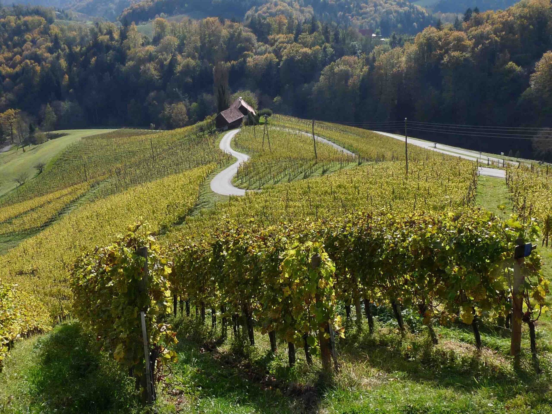 Herzweg Suedsteiermark