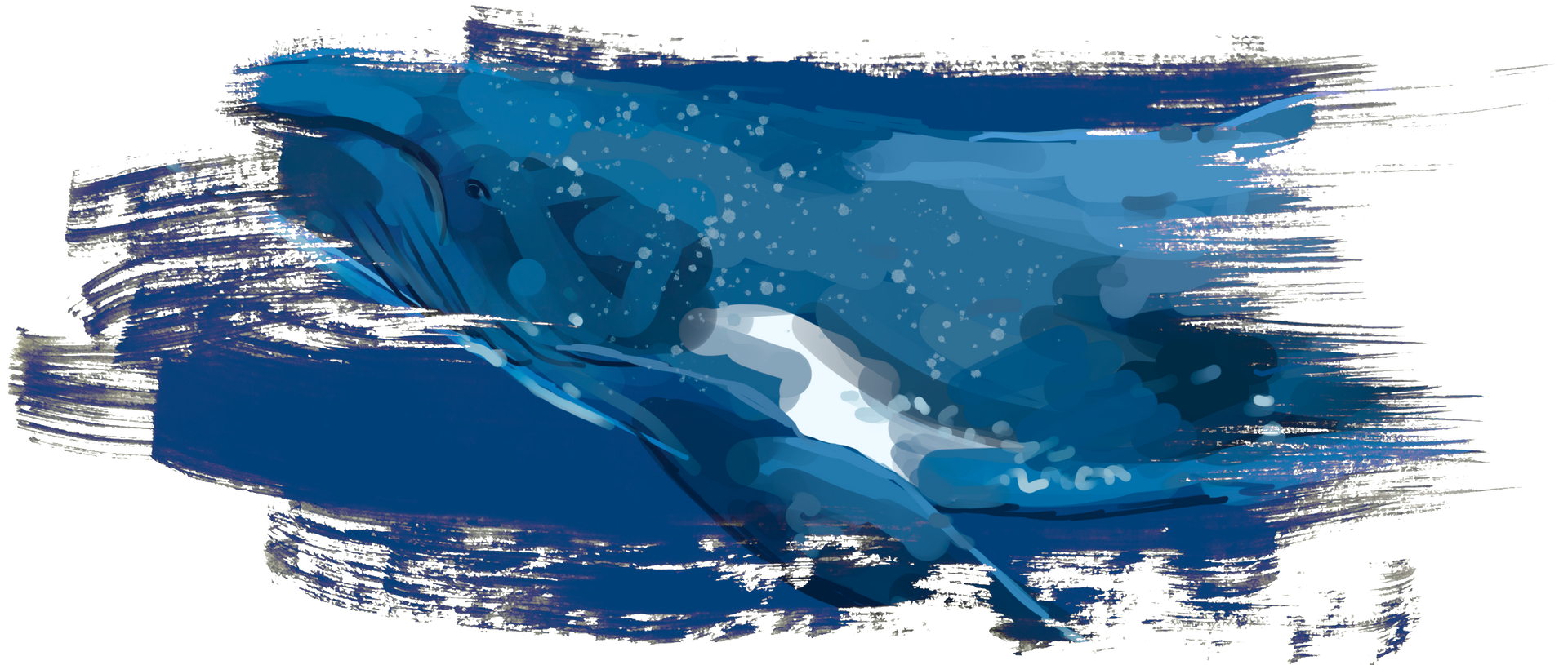 Illustration eines Buckelwals