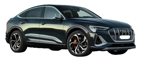 Wallbox, Mobile Ladestation, Ladekabel für Ihren Audi eTron Sportback Coupe