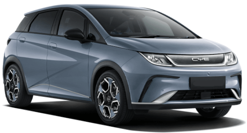 Wallbox, Mobile Ladestation, Ladekabel für Ihren BYD Dolphin