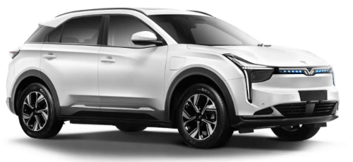 Wallbox, Mobile Ladestation, Ladekabel für Ihren Hozon Neta U