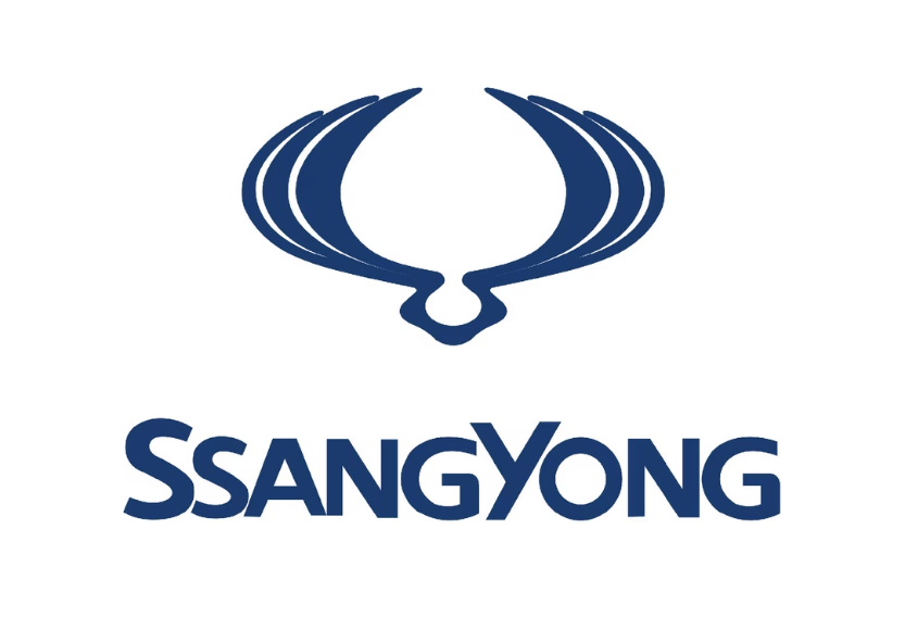 Charging solutions for Ssang Yong: Wallboxes, charging cables, mobile charging stations and other accessories