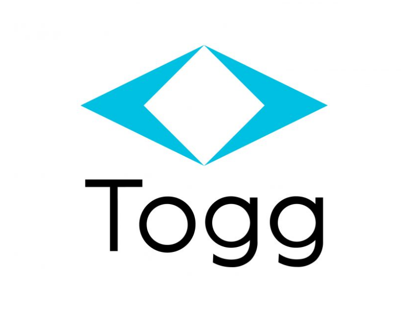 Wallbox, Ladekabel, Mobile Ladestation für Togg