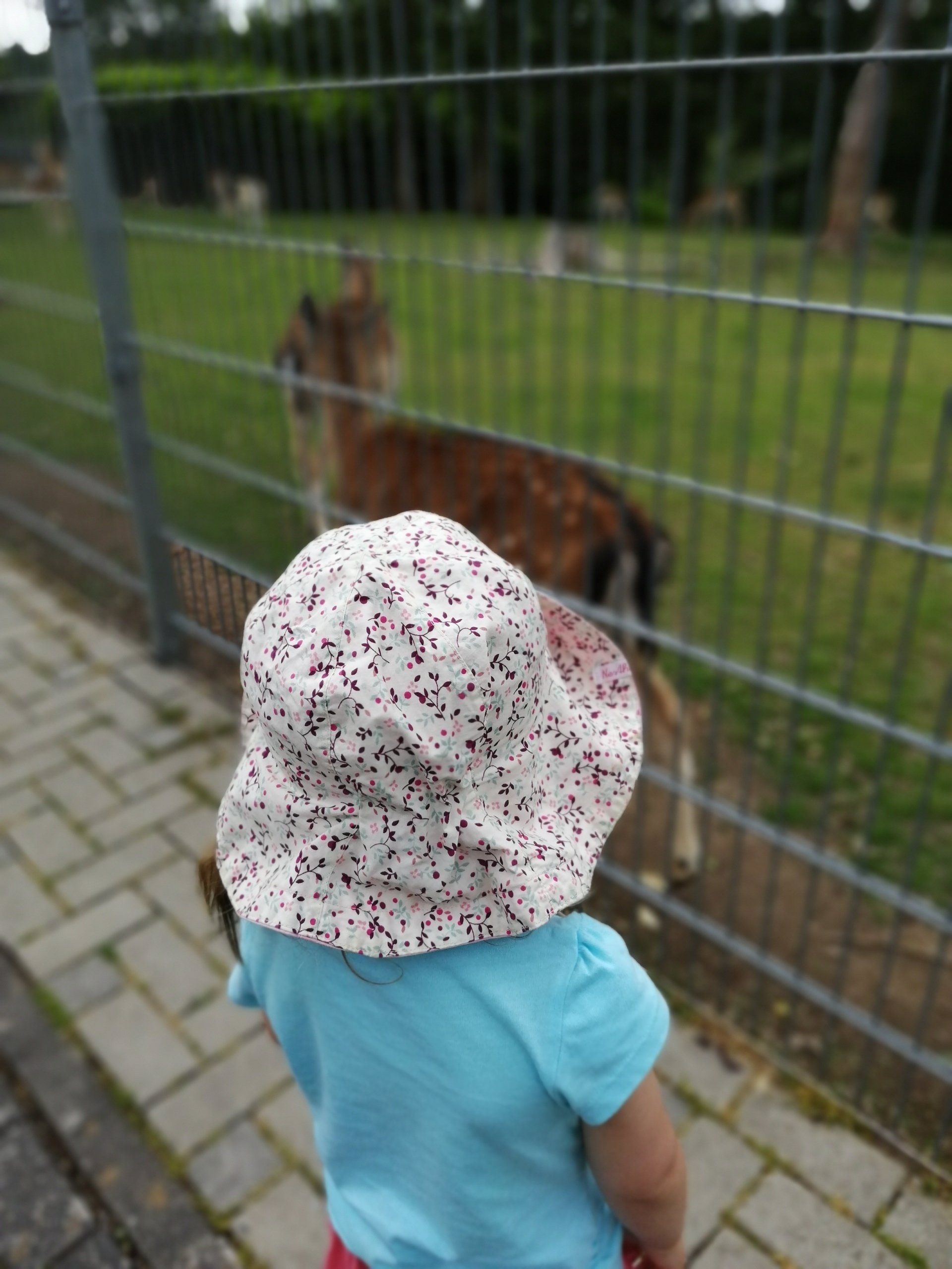 Wild und Freizeitpark Klotten Mosel