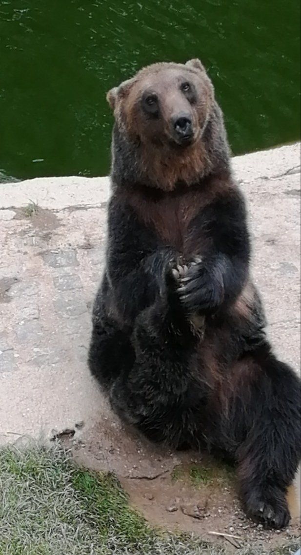 Wild und Freizeitpark Klotten Mosel