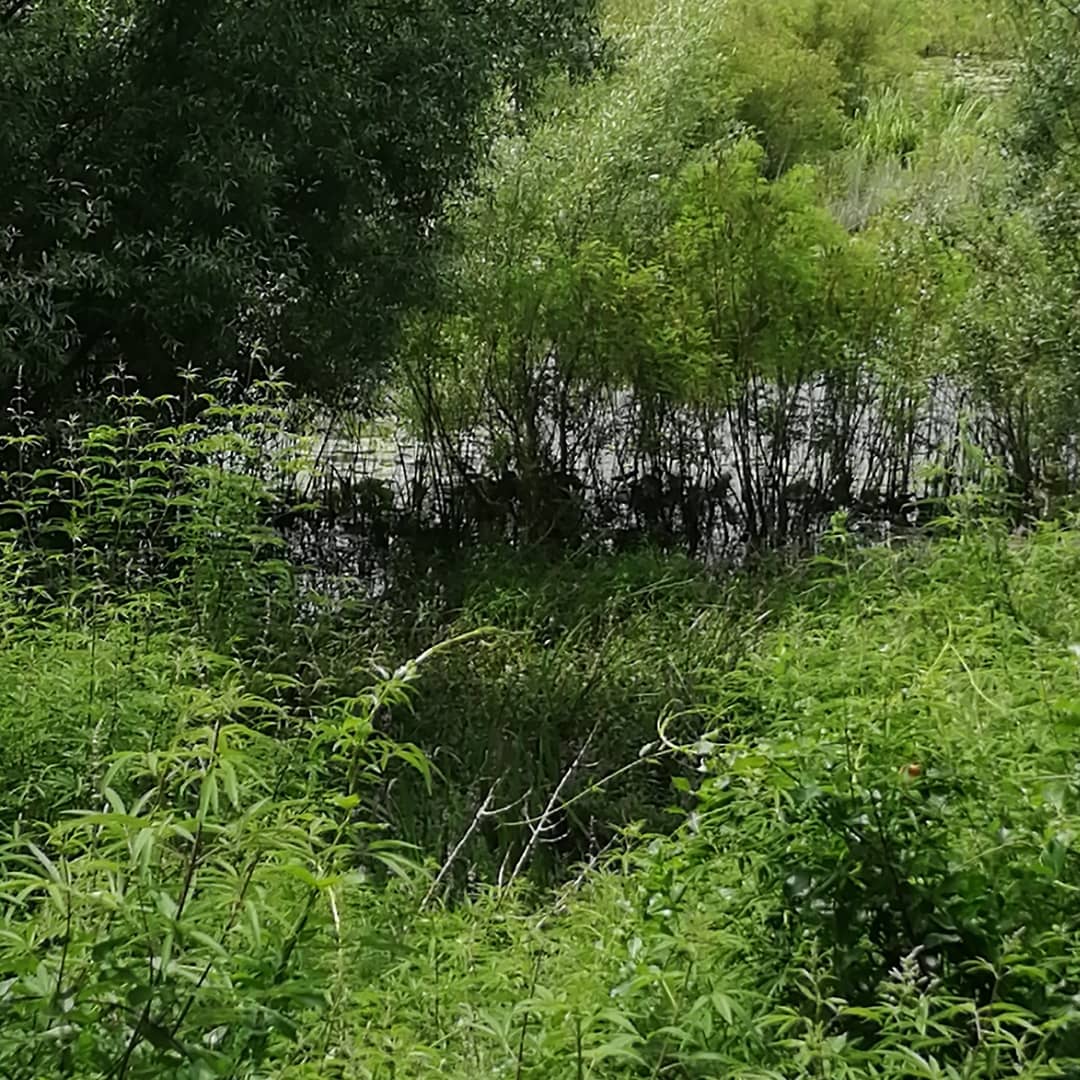 Skadar See Touristenfalle