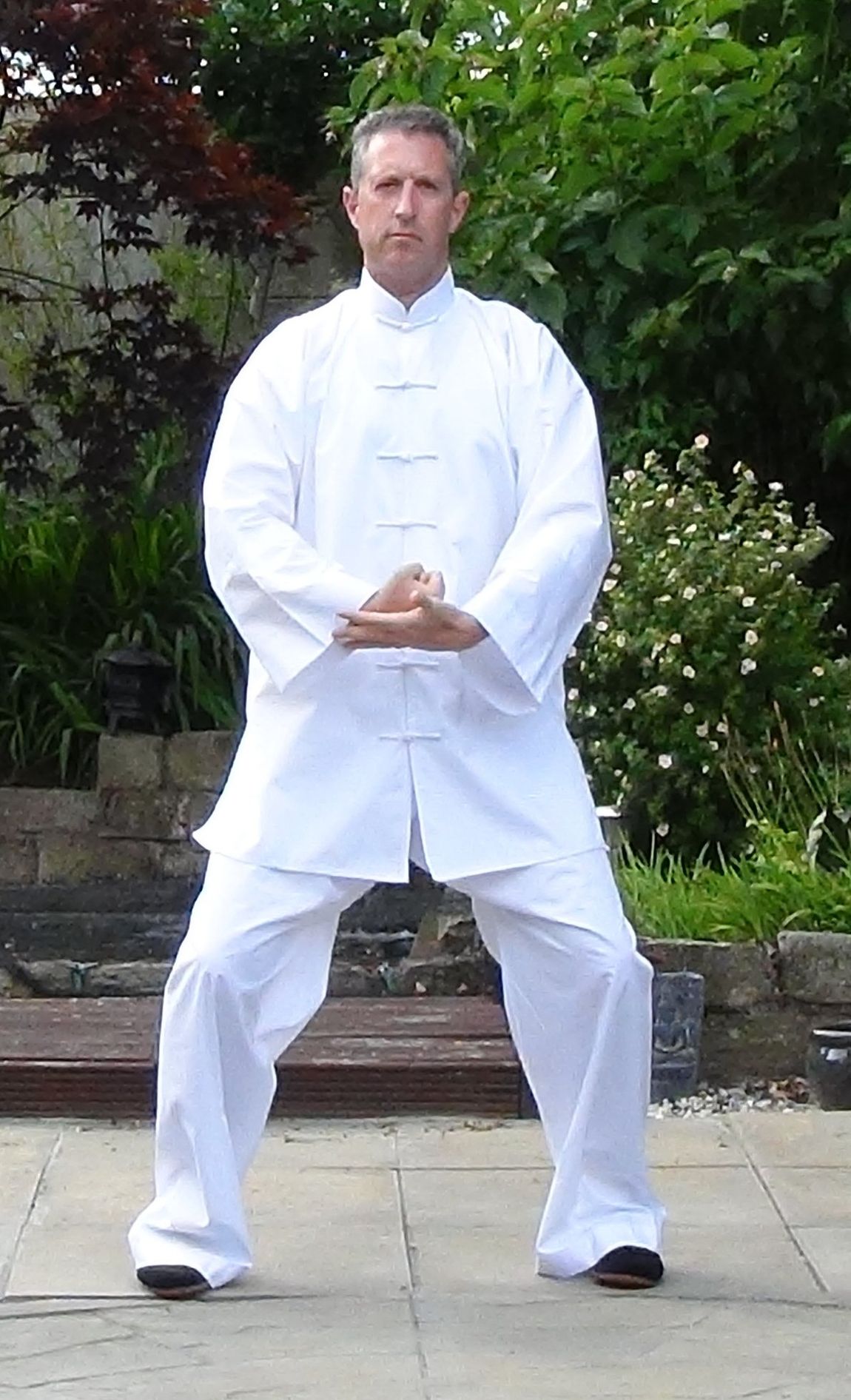 Chen Tai Chi Chuan, Chinese internal martial art