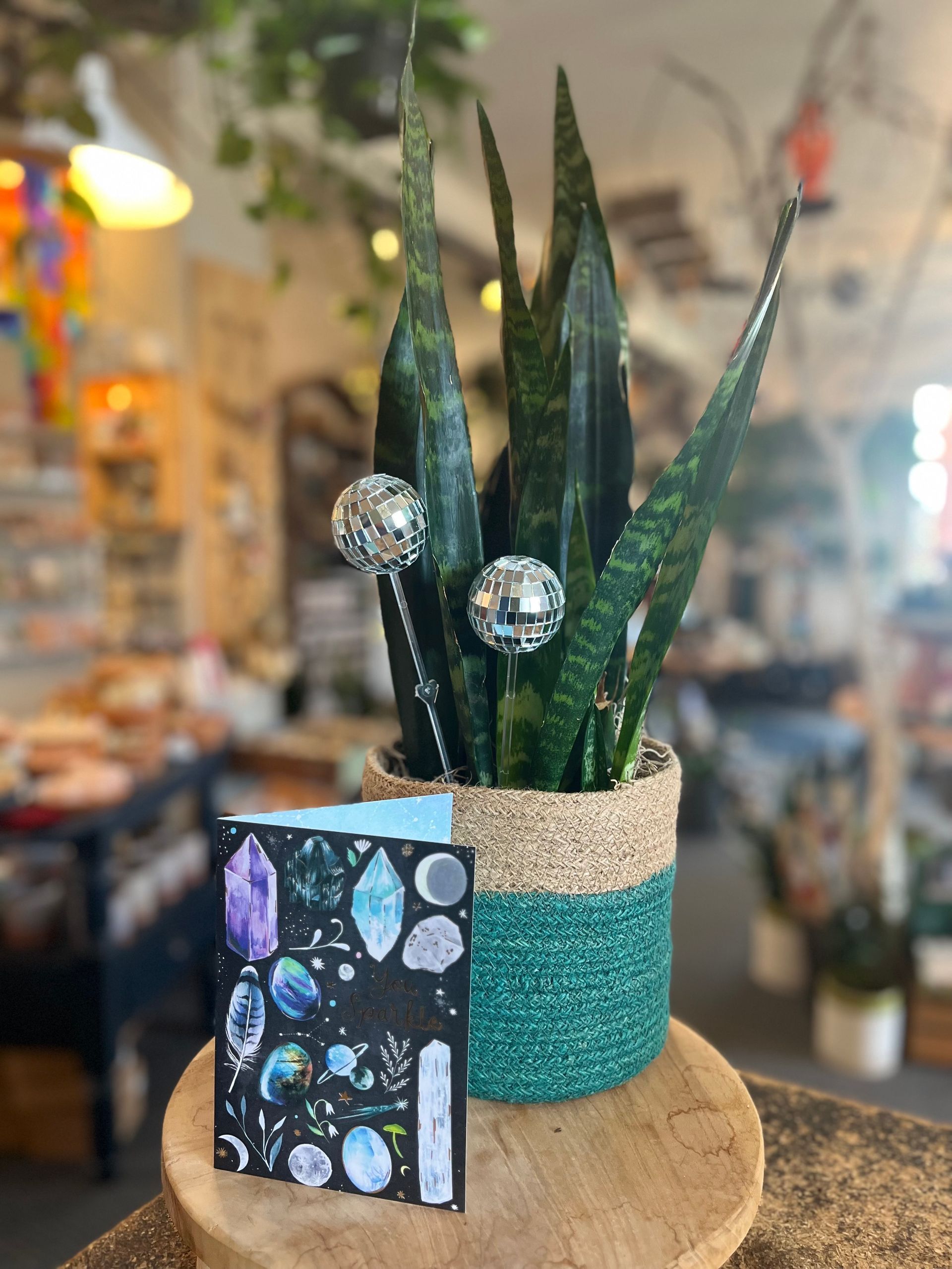 potted plant gift bundle with gemstone themed greeting card