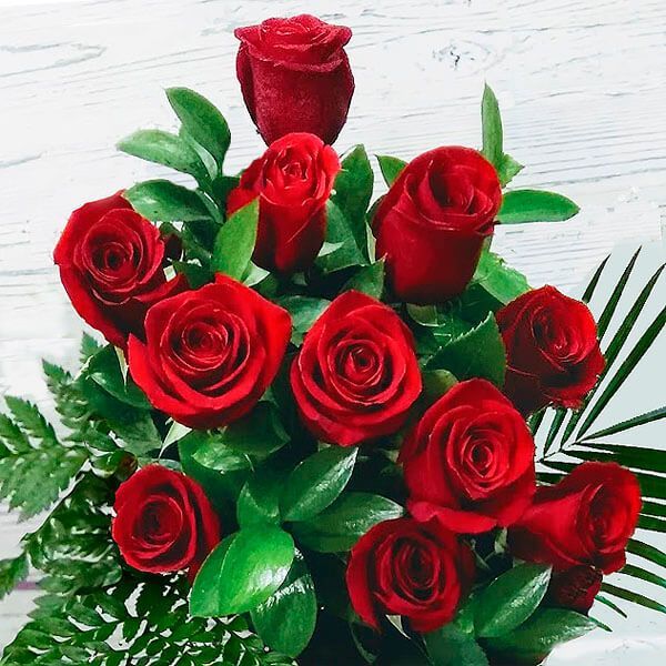 docena de rosas rojas economica envio a domicilio en Zamora